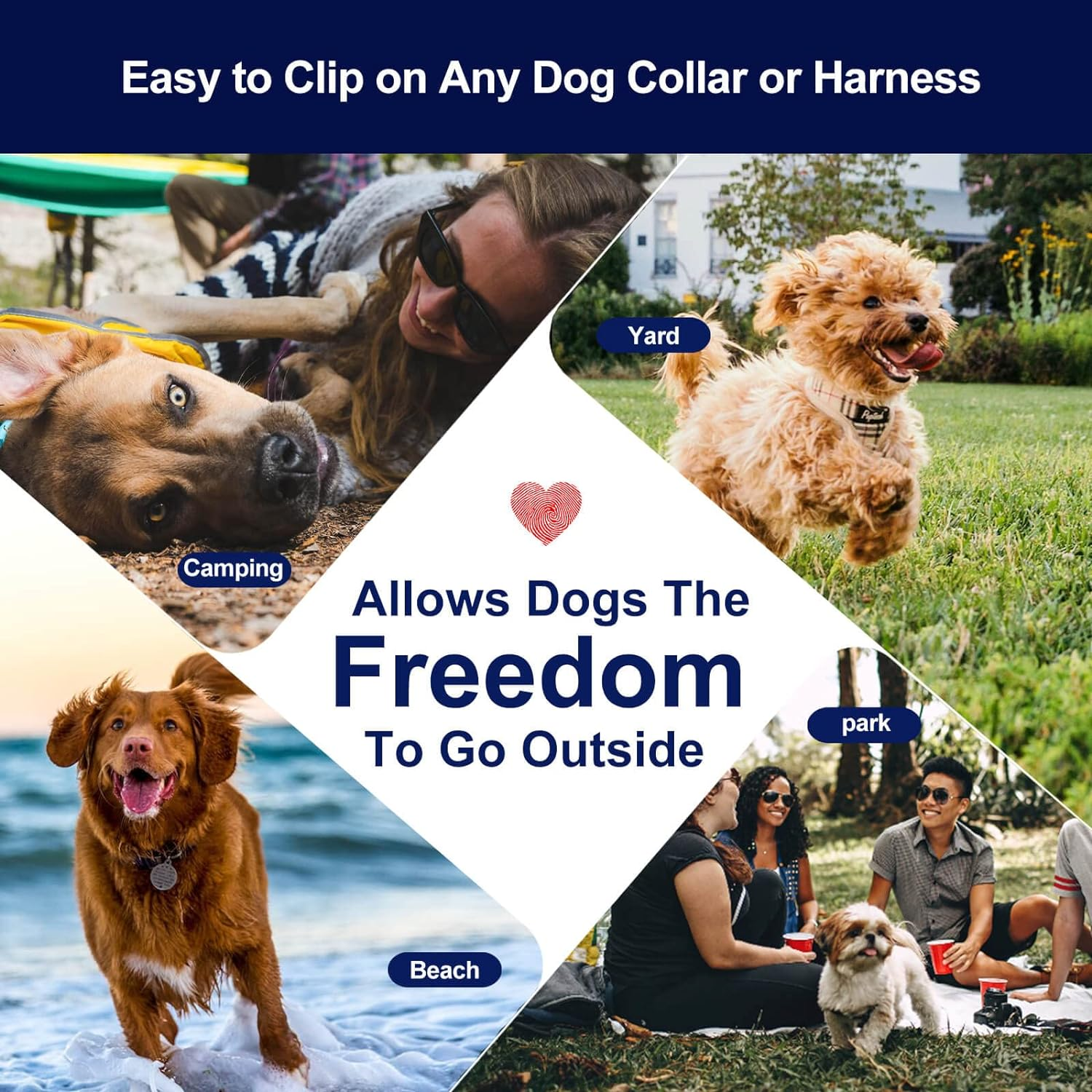 Dog Leads for Yard, 100Ft Tie Out Runner Steel Wire Cable, Heavy Duty Pet Tether Chains for Dogs up to 130 Lbs, Outside, Camping, Park (100Ft-Blue) image number 3