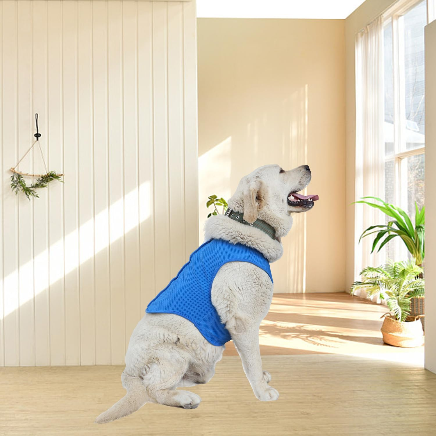 AIRTILY 1 X Cooling Clothes, 1 X Cooling Bib, Breathable Pet Vest, Summer Heat Reducing Vest, Cat Cool Scarf, Pet Supplies image number 1