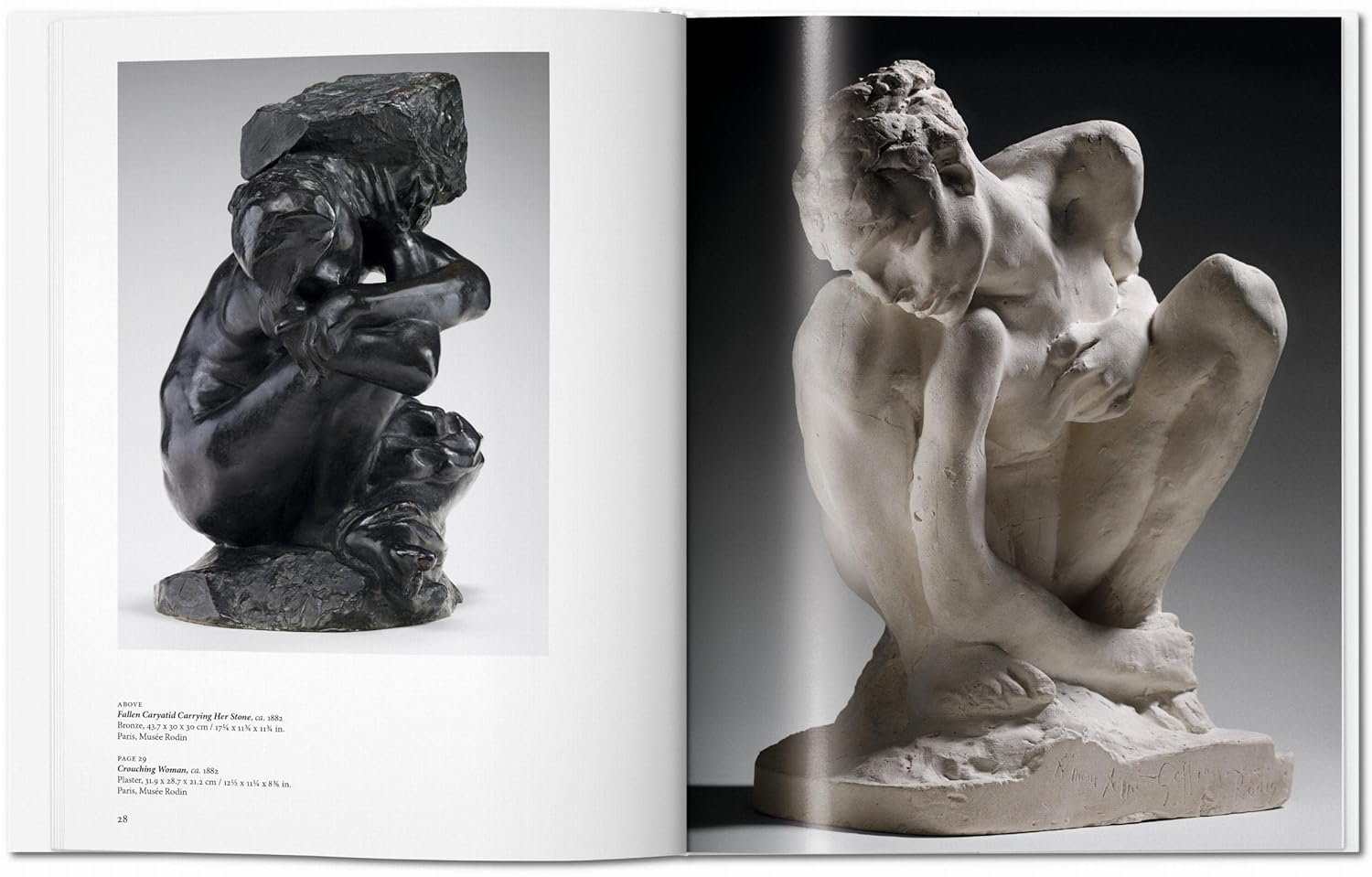 Rodin Rodin image number 4