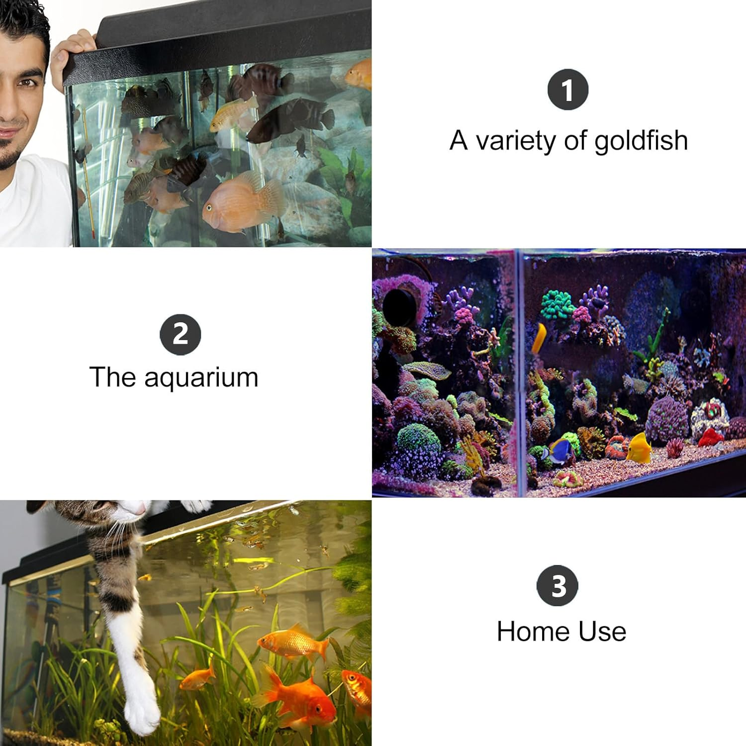 Toyvian 2Pcs 50Mm Aquarium Fish Hatchery Egg Tumbler Incubator for Mouth-Brooding Cichlids Breeding, Suitable for Freshwater Aquatic Pets and Fish Breeding Tanks Random Color Random Color image number 3