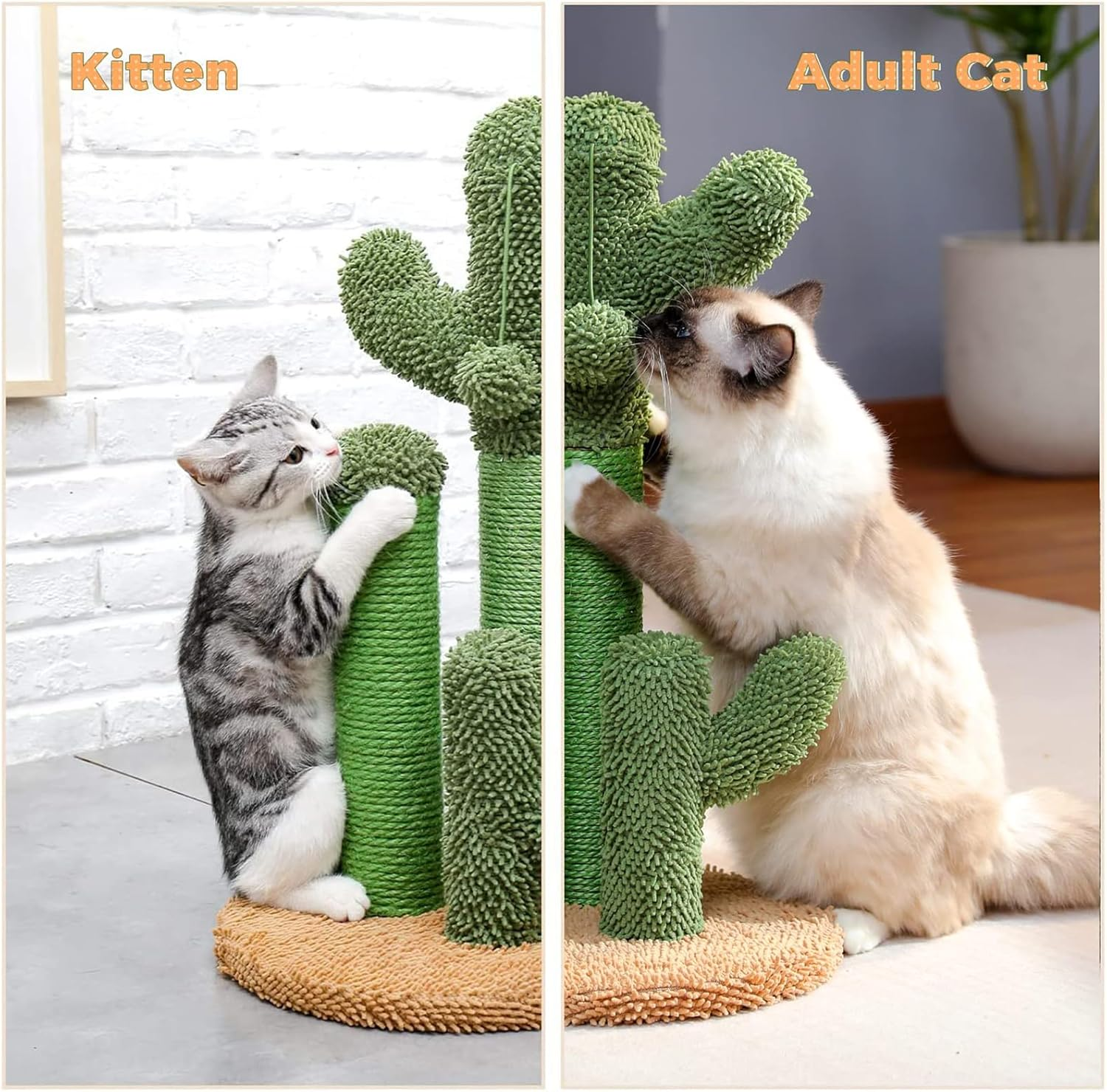 Cozioz Cactus Cat Scratching Post - Medium 53Cm - 3 Scratching Poles with Interactive Dangling Ball ，Cat Tree image number 5