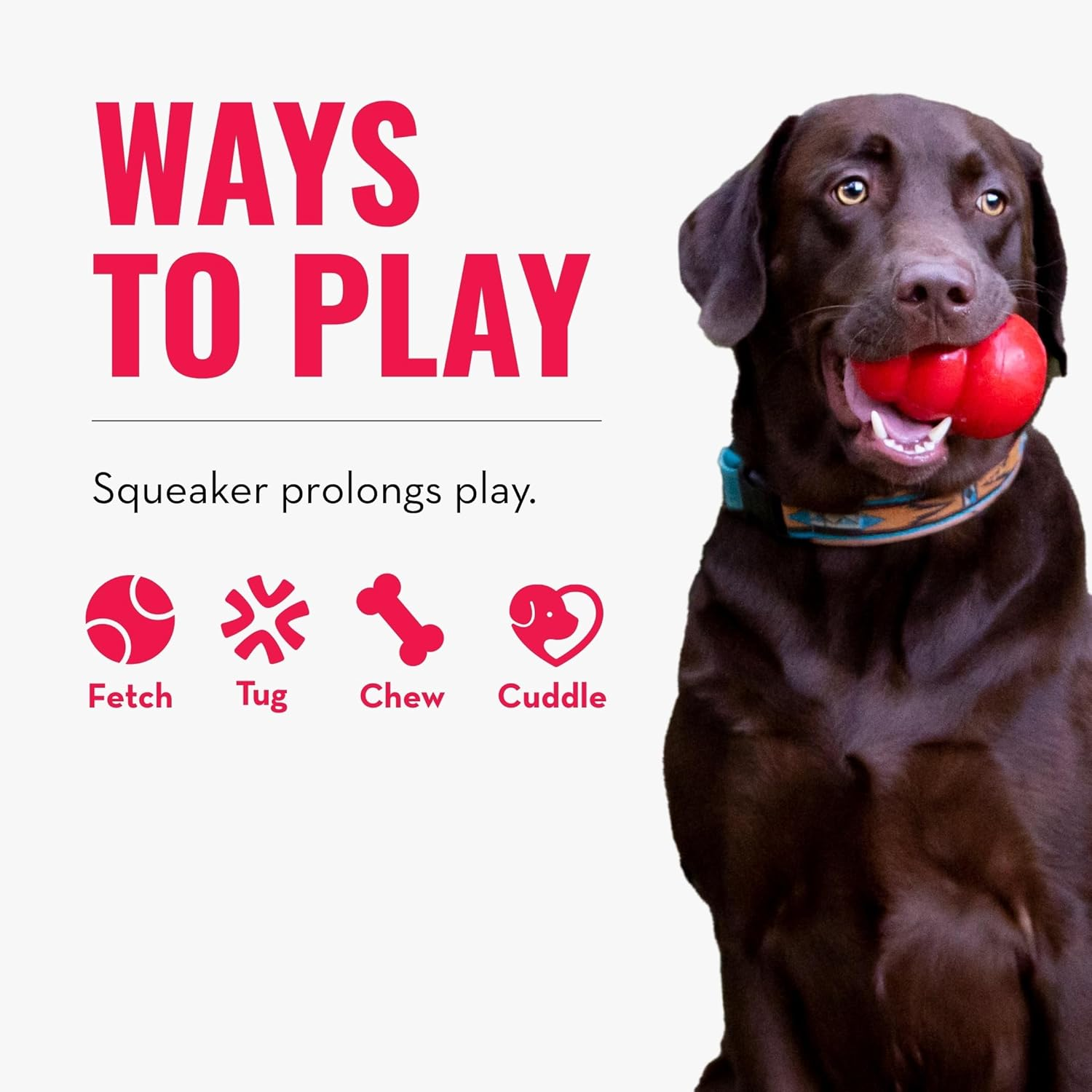 KONG - Scrumplez Koala - Indoor Cuddle Squeaky Plush Dog Toy - for Medium Dogs