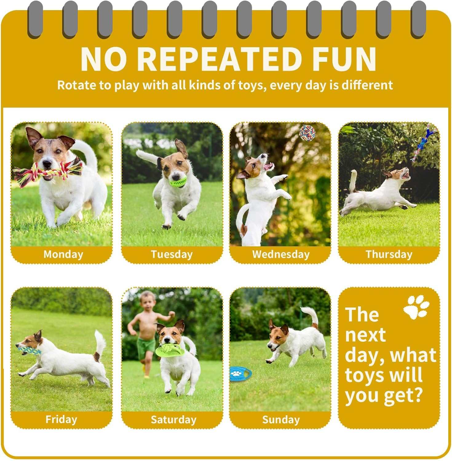 Jasonwell Dog Toys Durable Puppy Teething Toys Dog Chewing Rope Puppy Ball Interactive Dog Toy for Small Big Dogs Teether Rope Dog Toy Set (24Pcs) image number 1