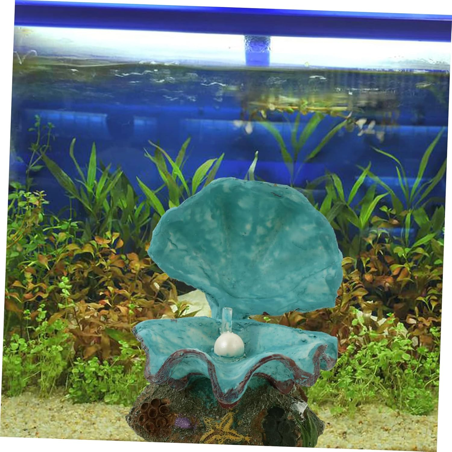 Aquarium Ornament Air Stone Shell Accessory for Fish Tank Decor Oxygen Bubbler Decoration Non-Fading Underwater Landscape for Aquatic Environments image number 6