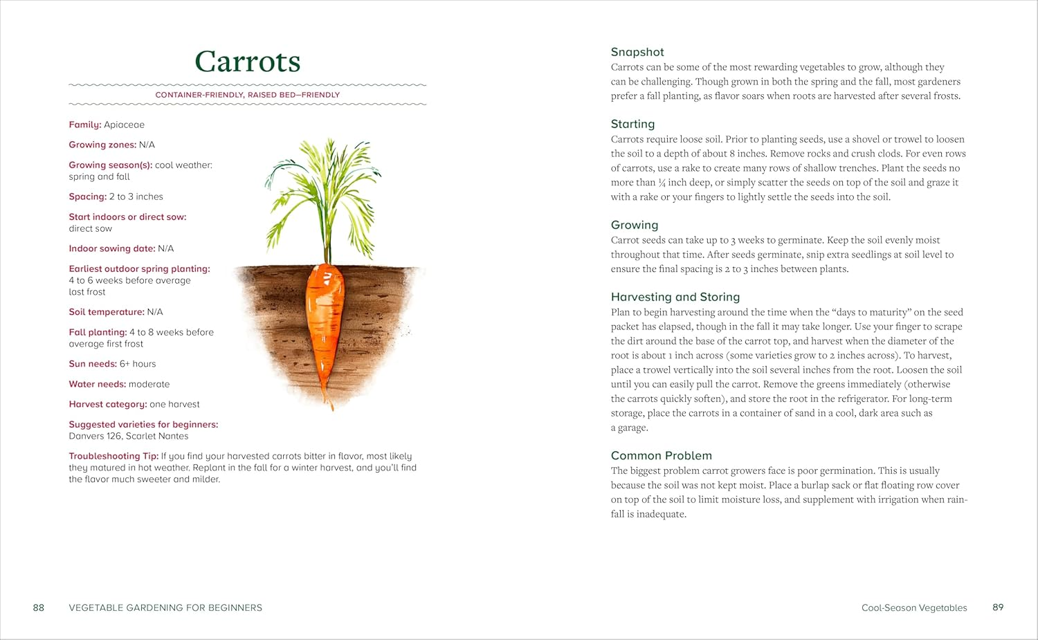 Vegetable Gardening for Beginners: a Simple Guide to Growing Vegetables at Home image number 4