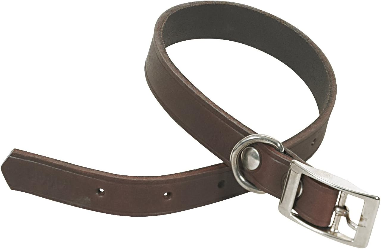 CHAPUIS SELLERIE SLA616 Dog Collar Brown Leather Width 16 Mm Length 40 Cm Size S