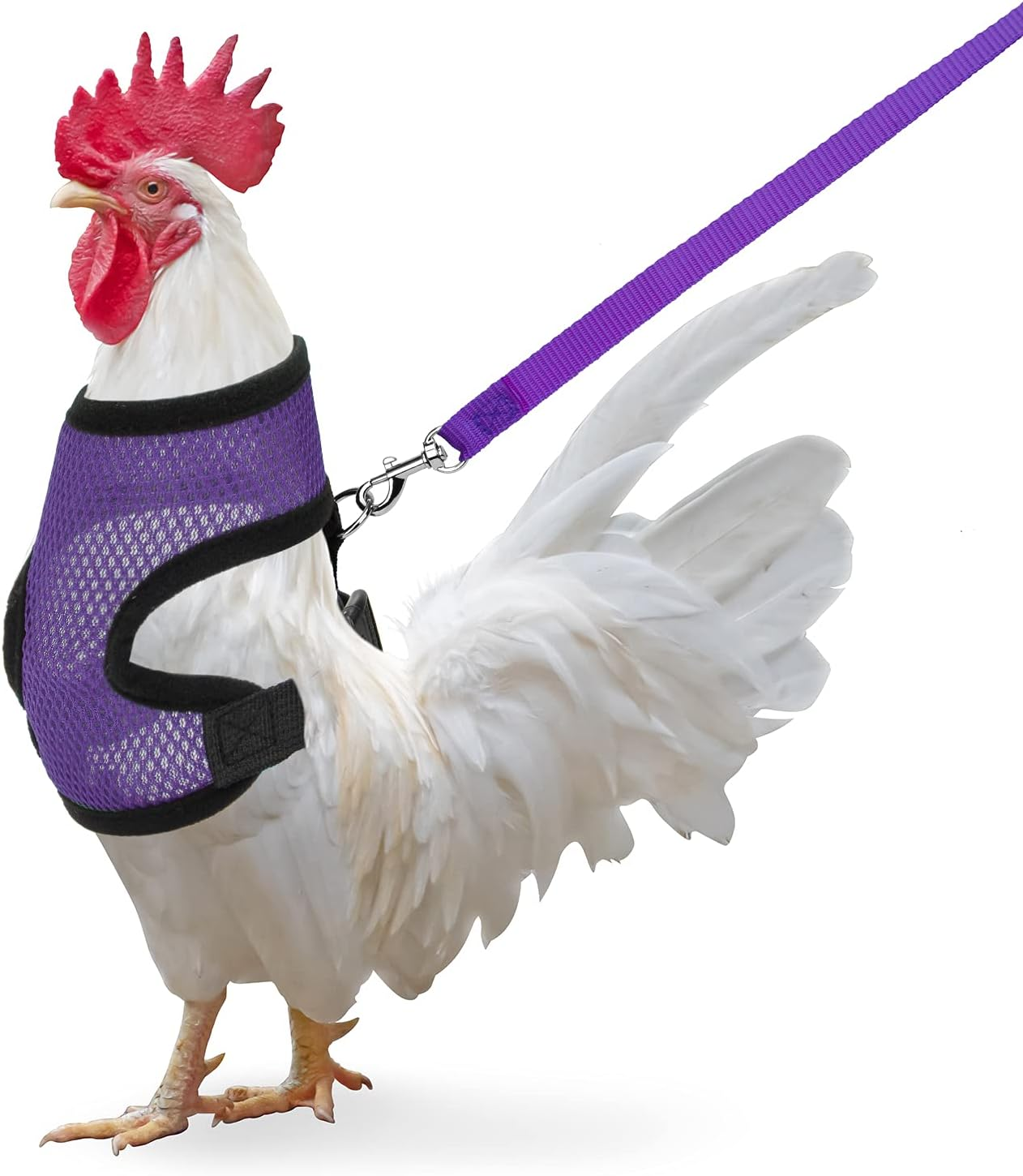 Chicken Harness with Leash, Adjustable Chicken Leash for Hens, Duck, Puppy (Green, M)