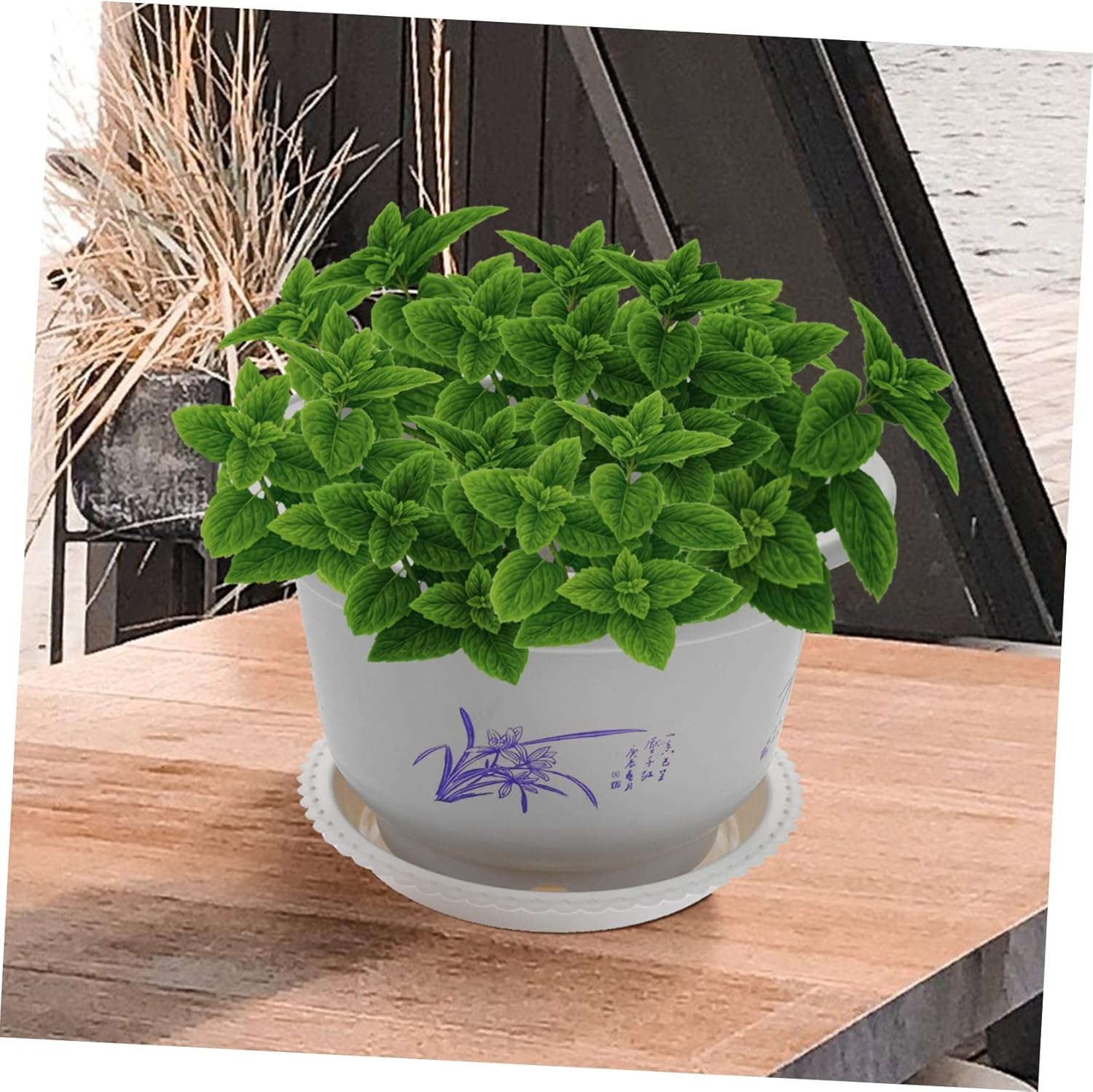 10Pack round Flower Planters Enhanced Water Filtration Ideal for Succulents Indoor Gardening image number 5