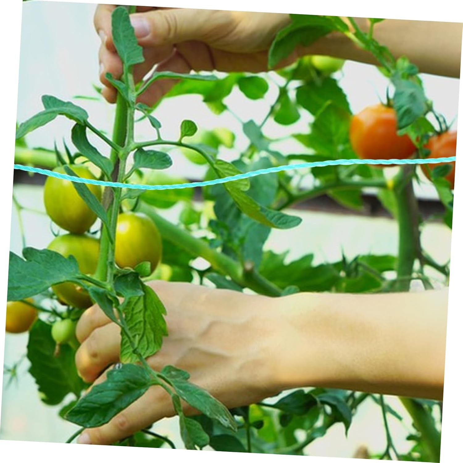 1 Roll Polyethylene Twine String for Climbing Plants Garden Twine Rope Fishing Net String Multi-Strand Green Rope for DIY Projects and Gardening Supplies