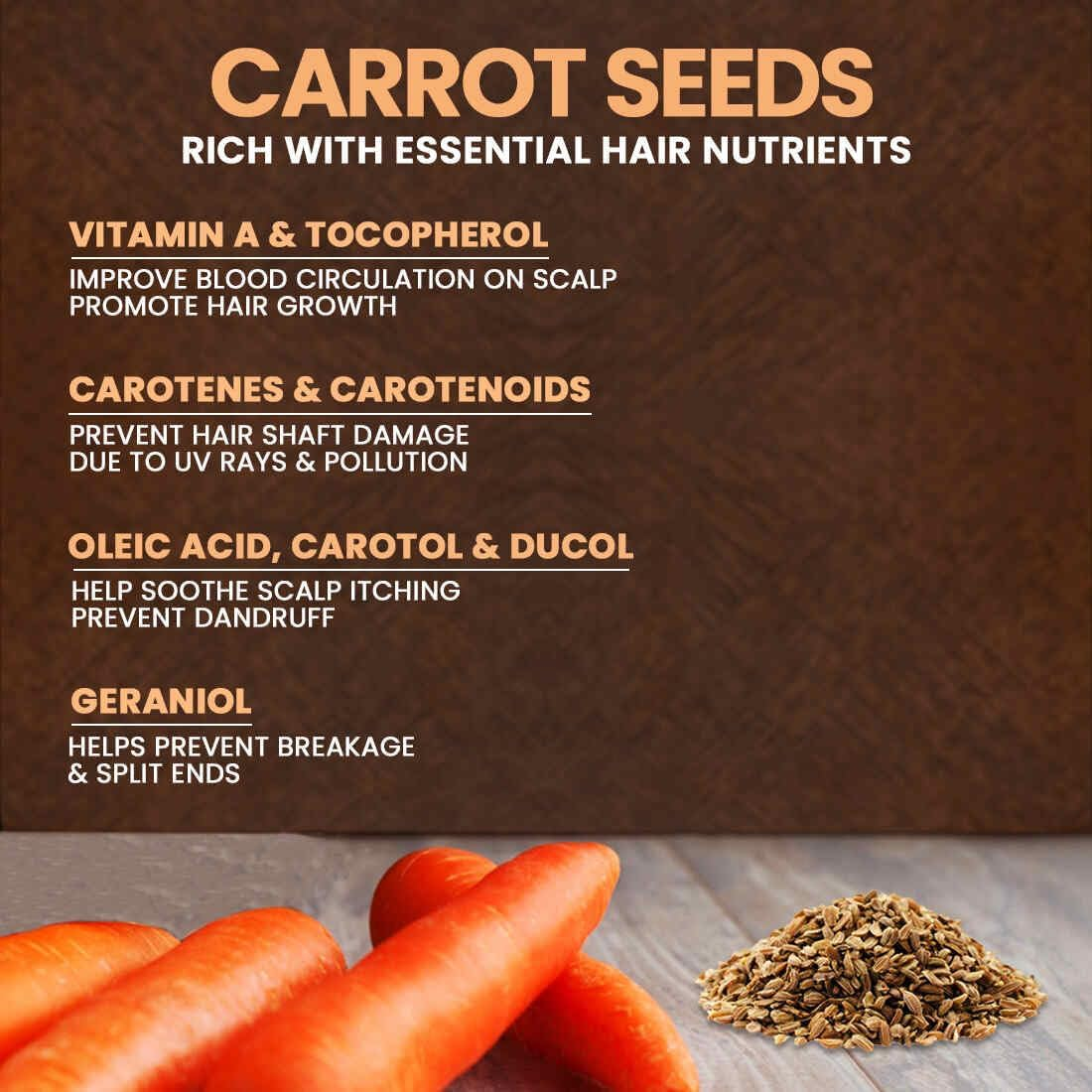 NEUD Carrot Seed Premium Hair Oil for Men & Women - 300 Ml, Natural Carrot, Pack of 1 image number 1