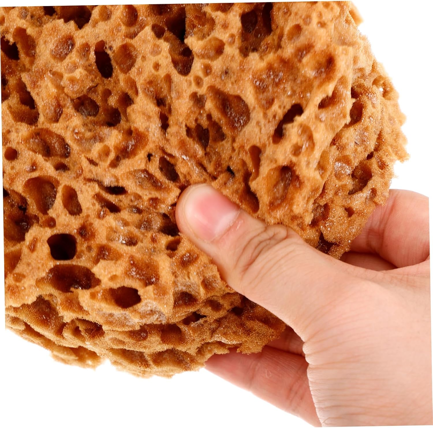 Natural Sea Sponge for Painting and Art Supplies, Large M88Kg Printed Pattern Sponge for Artists, Texturing and Wall Painting Tool Suitable for Drywall and Creative Projects