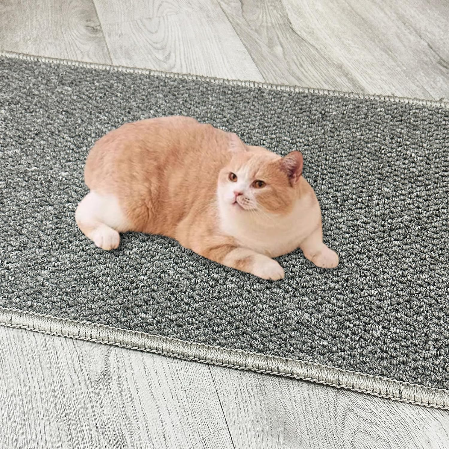 70.9"X 15.7" Thickened Extra Large Cat Wall Climbing Carpet with 10Pcs Fixed Nails, Durable Cat Wall Furniture, Wall Scratcher, Scratching Post, Couch Sofa Protector, Gray - Color 1 image number 6