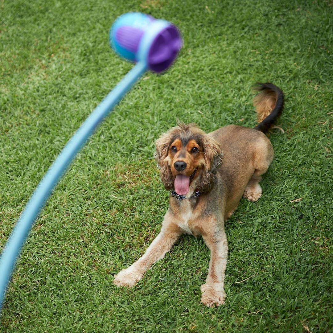 Kazoo Adjustable Eco-Friendly Ball Thrower Dog Toy image number 5