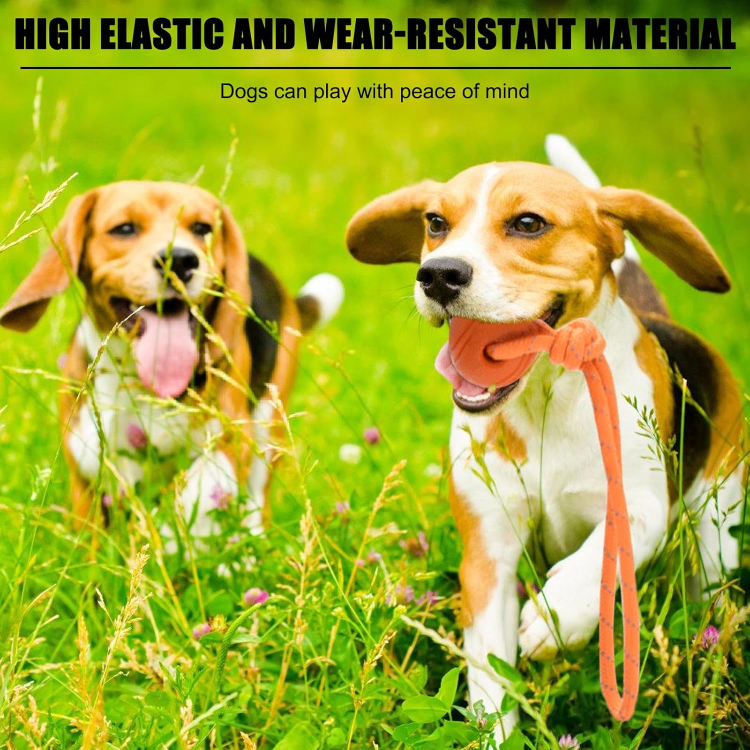 Vaileal 4 X Dog Balls, Dog Balls with Rope, High Bounce Ball Toy for Dogs, Natural Rubber Ball, Dog Toy, Small Solid Rubber Ball, Throwing Ball for Small & Medium & Large Dogs (Four Colours) image number 6