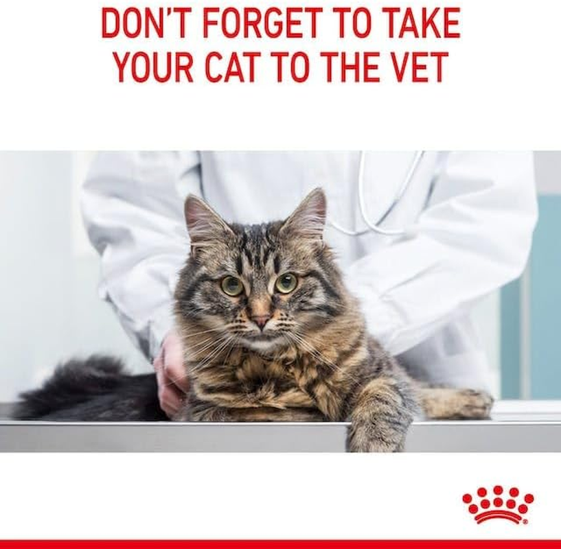 Royal Canin Appetite Control Care Gravy Wet Cat Food 85 GMS 12 Pack image number 3