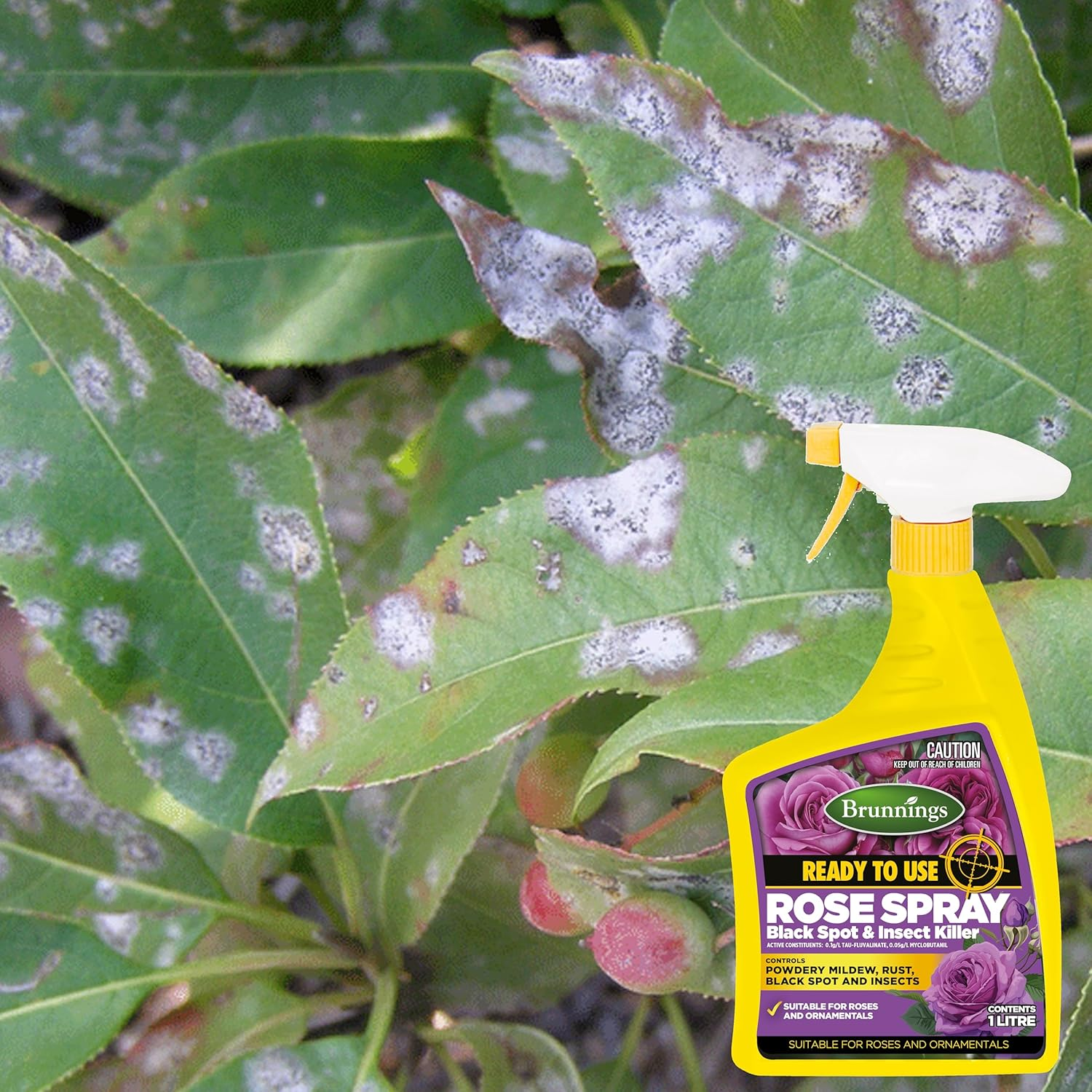 Brunnings White Oil Ready to Use Insecticide Spray 1 Litre image number 4