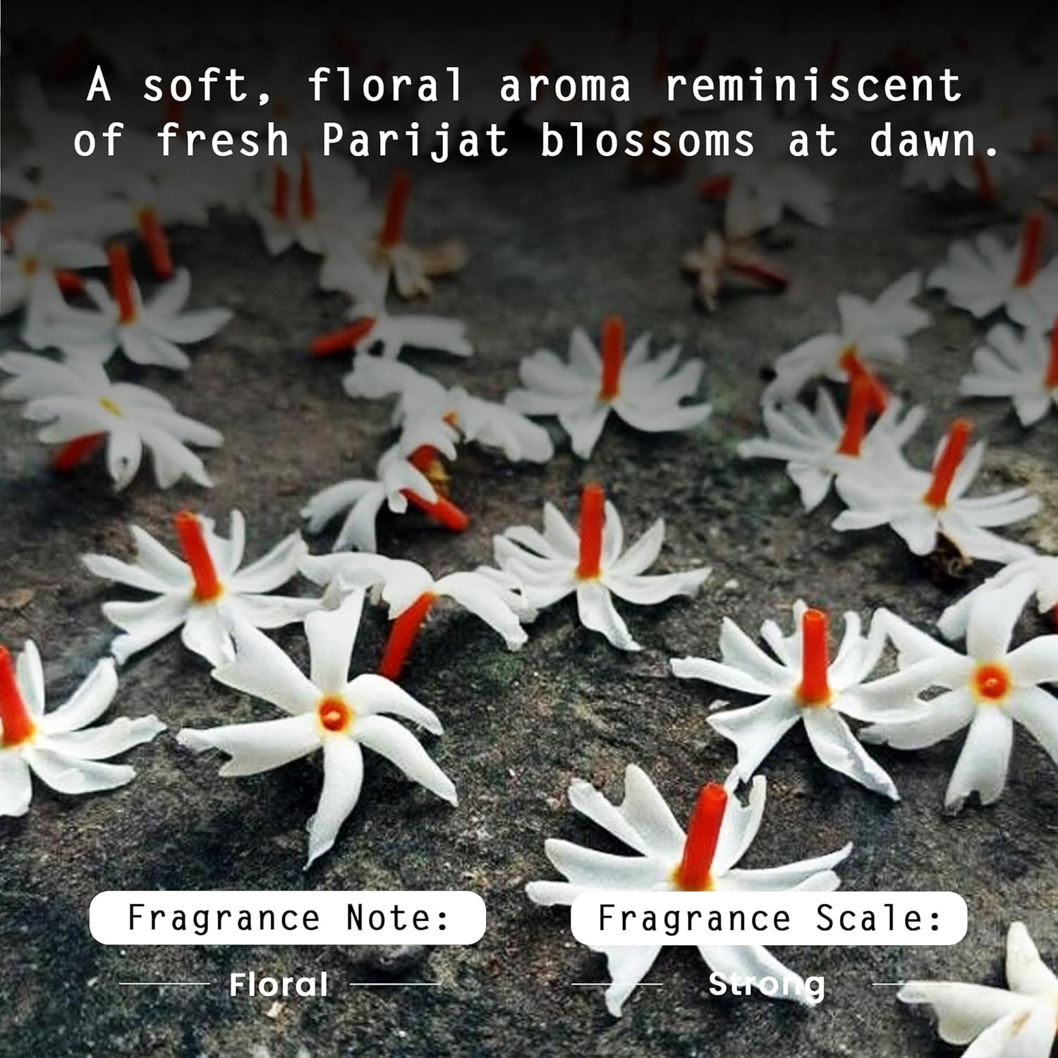 Nyassa Parijat Night Blooming Jasmine Handmade Soap 150Gm with Turmeric and Shea Butter. Paraben Free, Cruelty Free and 100% Vegetarian. image number 4