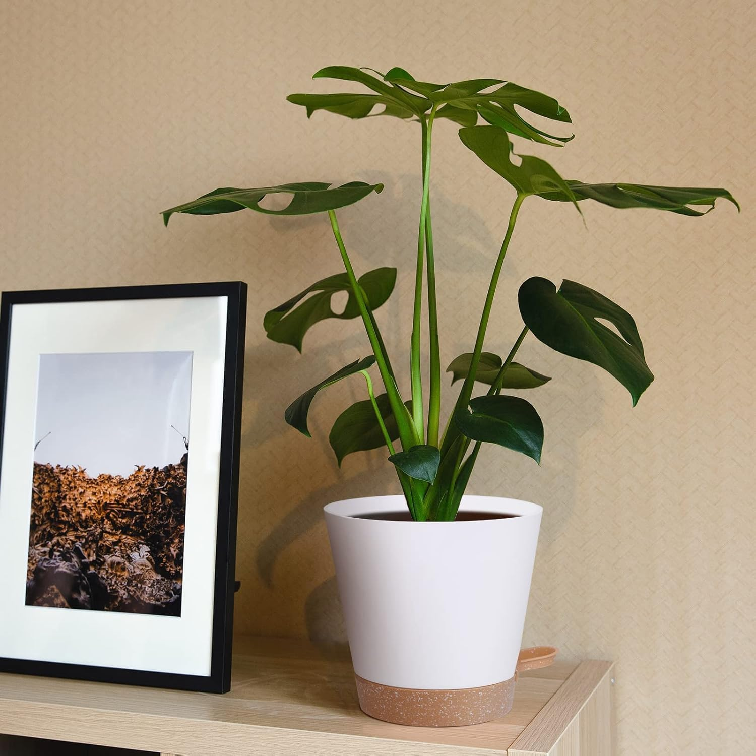 6 Pack Plant Pots, 8/7/6.5/6/5.5/5 Inch Self Watering Plant Pots with Drainage Holes and Saucers Modern Decorative Plastic Pots for All House Plants - White image number 3