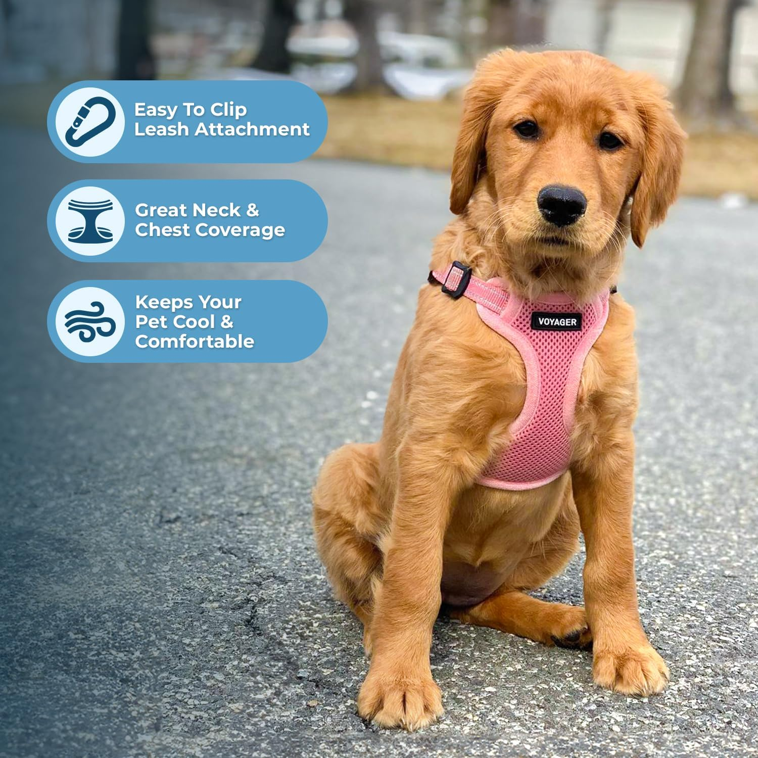 Best Pet Supplies Voyager Adjustable Dog Harness Leash Set with Reflective Stripes for Walking Heavy-Duty Full Body No Pull Vest with Leash D-Ring, Breathable All-Weather - Harness (Pink), XS image number 6