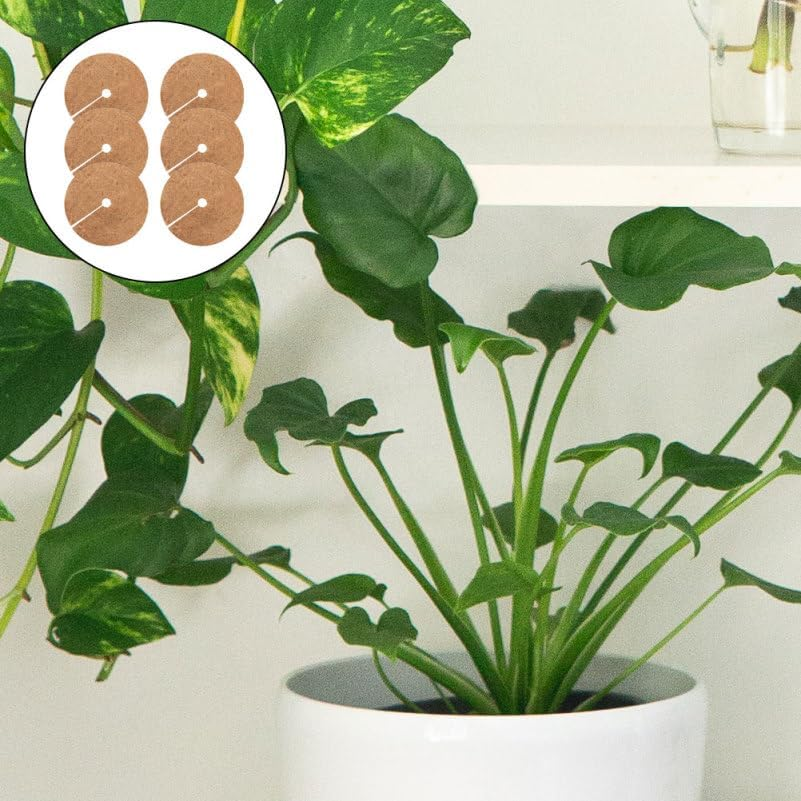 Mipcase 6 Pack Coconut Coir Mulch Ring Mats for Pots Plant Cover Mulch Mats Flower Pot Liner Round image number 2