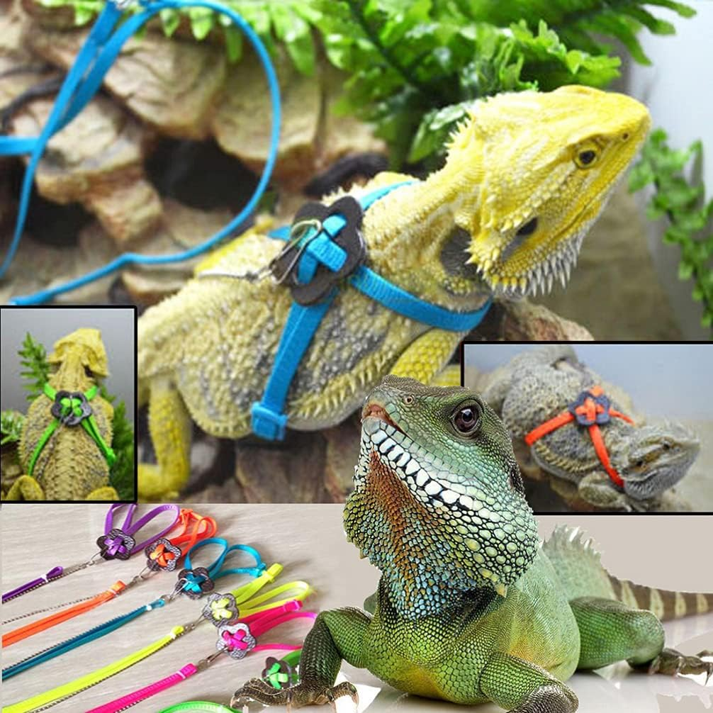 Homoyoyo Reptiles Lizard Leash Adjustable Flying Anti- Bite Training Rope 1. 2M Bird Harness and Leash 1.2M Lizard Harness Small Animal Harness Lizard Vest Harness Animal Leashes Wing Strap