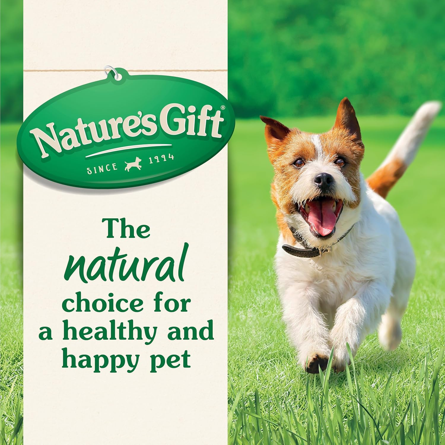 Nature'S Gift Adult Wet Dog Food, Strips with Kangaroo in Gravy 9X100G - Made with Natural Ingredients, Supports Healthy Digestion & Immune Function (Pack of 2) image number 5