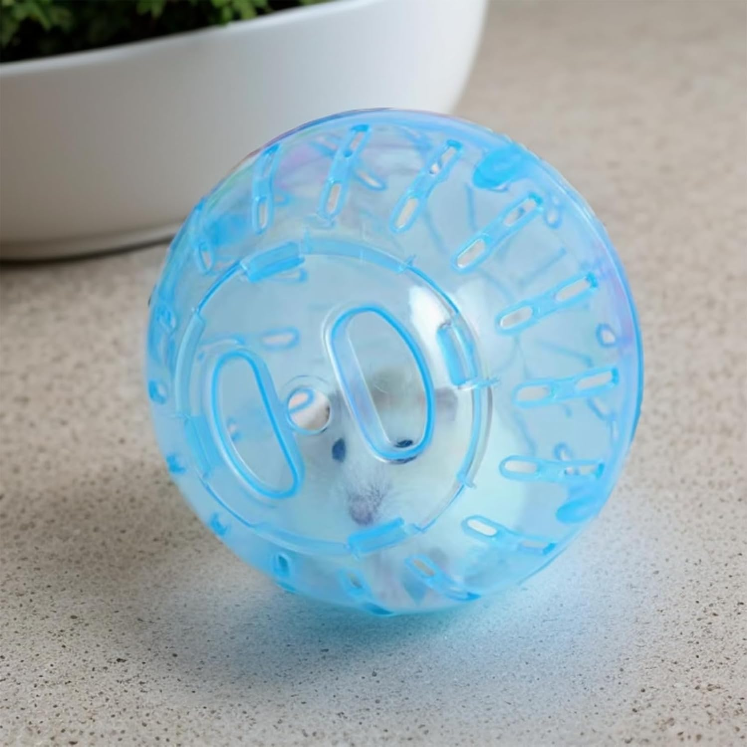 Hamster Wheel, 10 Cm, 12 Cm Diameter, Small Transparent Plastic, Running Ball for Hamsters, Hamster Running Ball, Gymnastics Ball, Hamster for Small Animals, Mice (12 Cm) image number 3