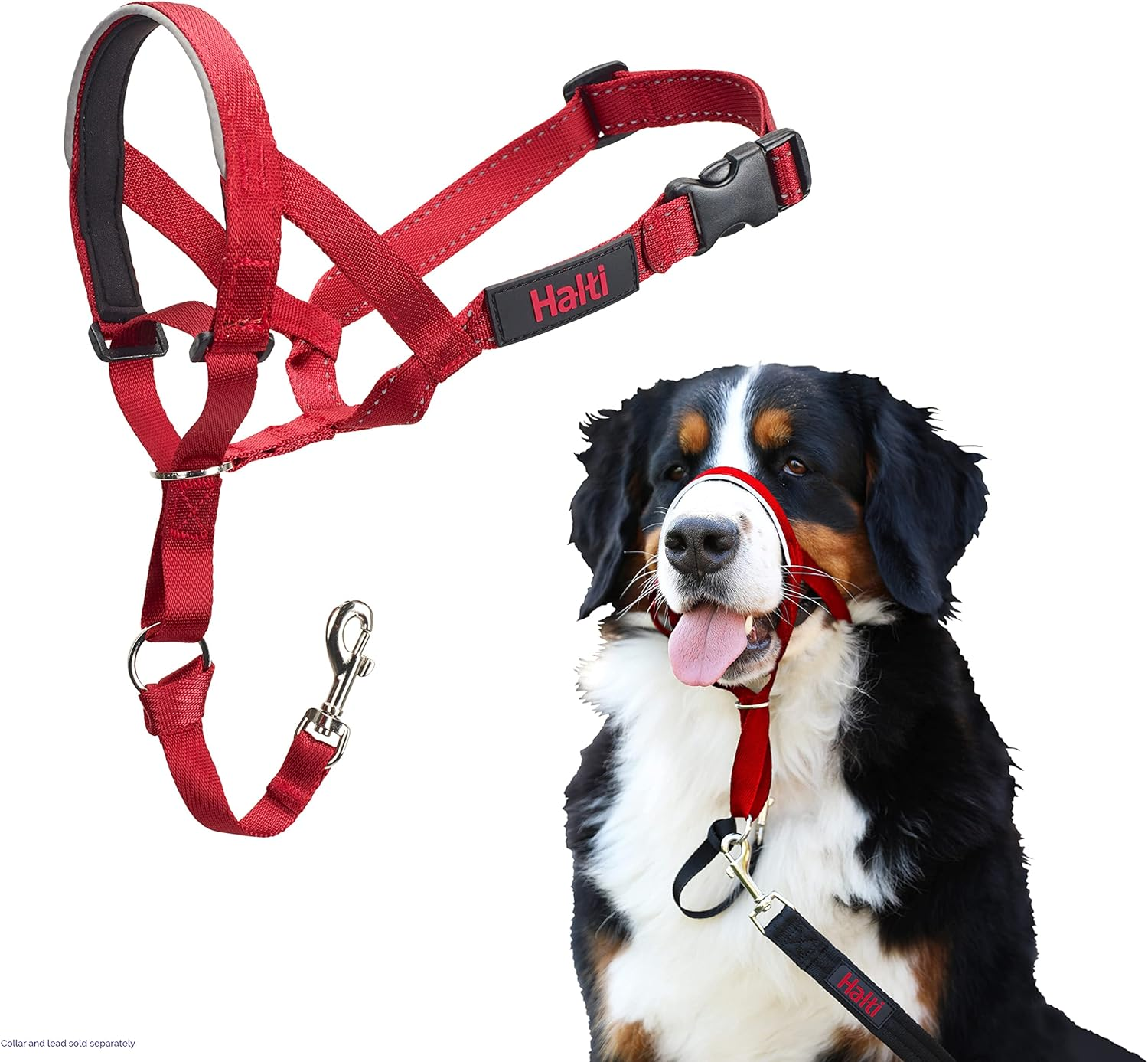 Halti Dog Training Headcollar, Red