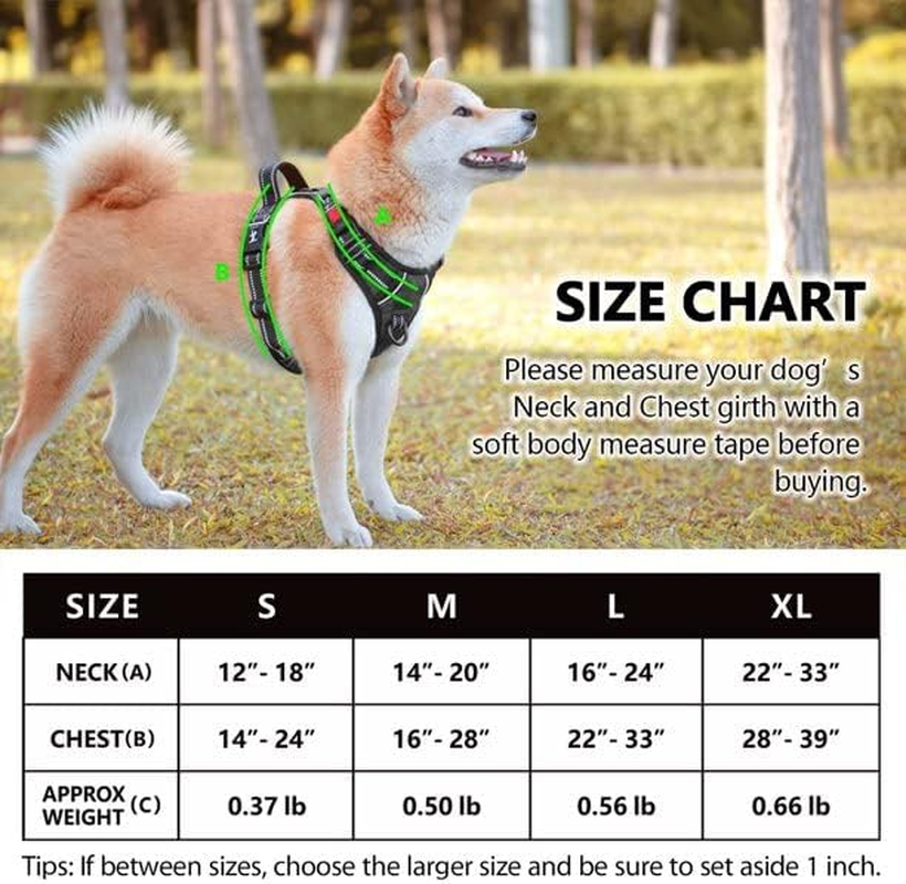 Poypet No Pull Dog Harness, No Choke Reflective Oxford Outdoor Vest, Adjustable Pet Harnesses with 2 Leash Clips, Easy Control Padded Handle for Small Medium Large Dogs (Black,S) image number 6