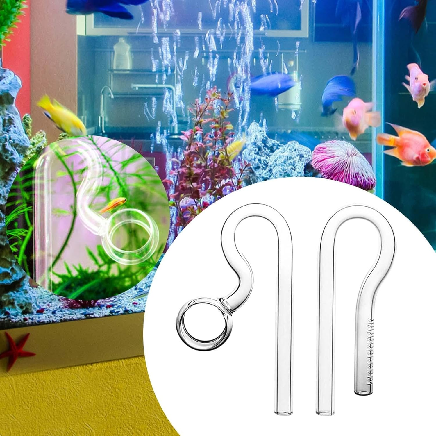 Glass Lily Pipe Inflow and Spin Outflow for Aquarium Planted for Tank 10Mm 13Mm 17Mm for Different Size of Fish, 13Mm - 10Mm image number 6