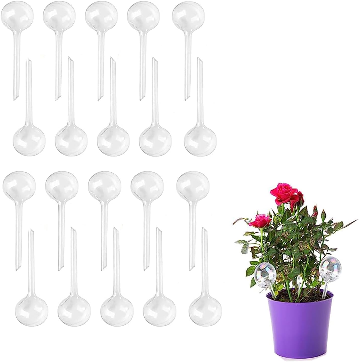 Yqkangzhu 20 Pcs Plant Watering Globes, Clear Plant Self-Watering Bulbs, Plastic Flower Watering Balls, Transparent Automatic Water Device for Garden Plant Indoor Outdoor, Vacation image number 5