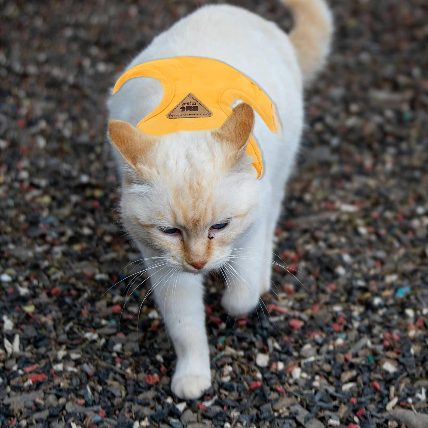 CAPASTEC Soft Cat Harness and Leash Set, Breathable Kitten Harness, Yellow, L image number 3