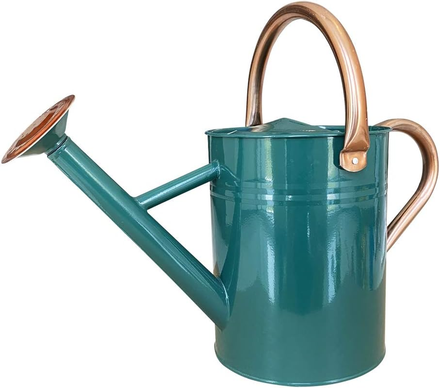 Metal Watering Can for Outdoor and Indoor Plants, Watering Can Decor, 1 Gallon (1 Gallon Green2)