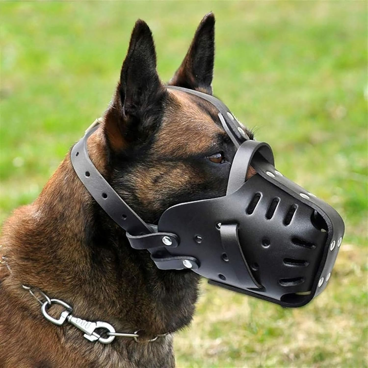 German Shepherd Malinois Muzzle, Leather Mouth Guard for Biting, Chewing, Grooming, Adjustable, Breathable, for Medium and Large Dogs, Black, Neck Circumference - 35 X 50 Cm image number 1