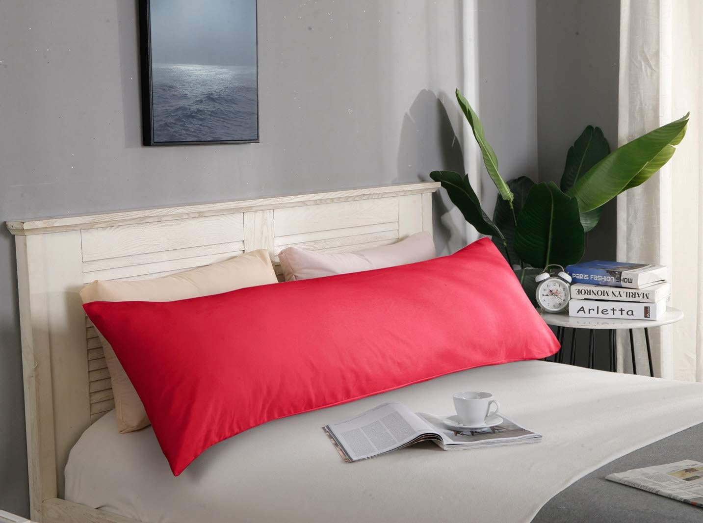 1000TC Luxury Ultra Soft Plain Colour Pillowcases (2 European Pillowcases 65X65Cm, White)