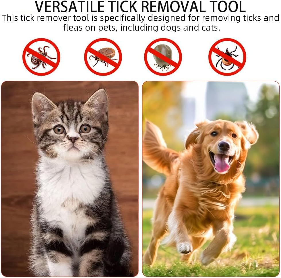 JCUQGDOO Tick Card for Human, Dog, Cat, Pack of 2 Tick Cards Children with Magnifying Glass, Quick Cleaning of Ticks, Tick Card for People, Children, Dogs, Cats image number 2