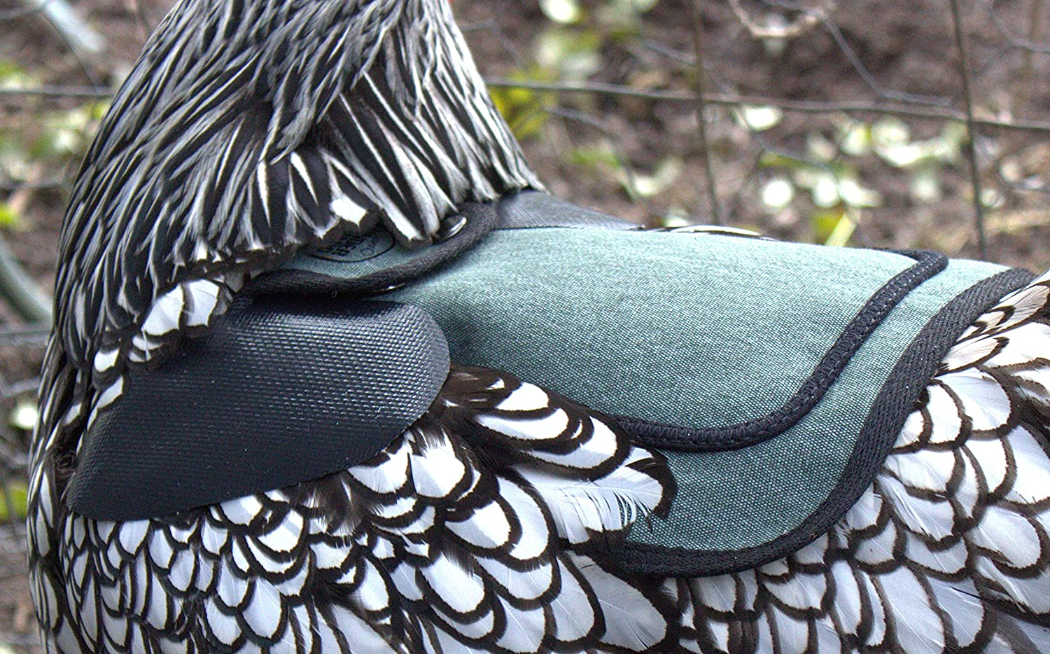 DOWN under OUTDOORS 2 Pack Small Chicken Saddles for Bantams and Young Birds, Includes Shoulder Covers (Teal) image number 2