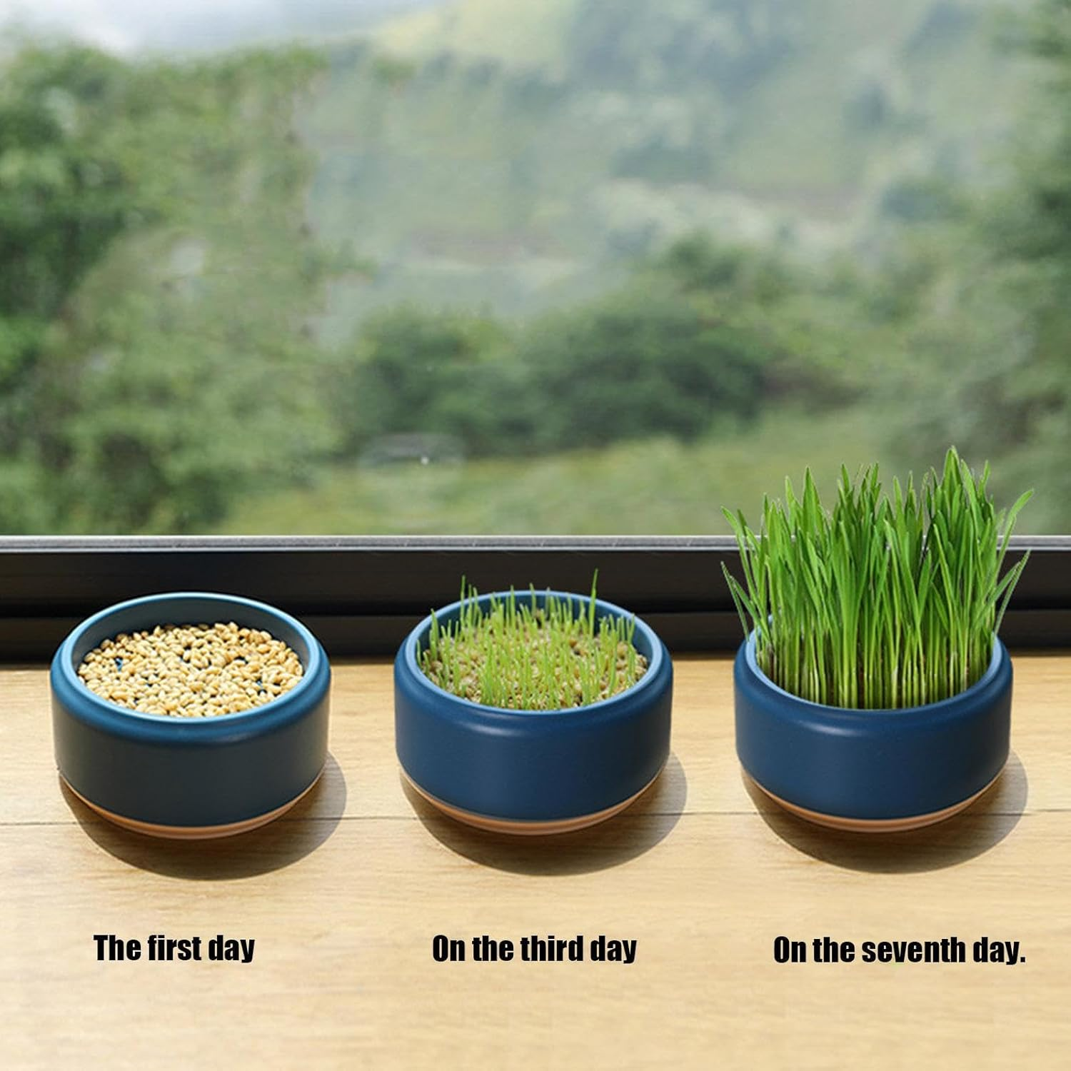 Cat Grass Growing Kit- Cat Grass Planter Tray-Organic Cat Grass Growing Kit for Indoor Cats Pet Hydroponic Cat Grass Growing Planter - Cat Grass for Indoor Cats Pet Accessories image number 1