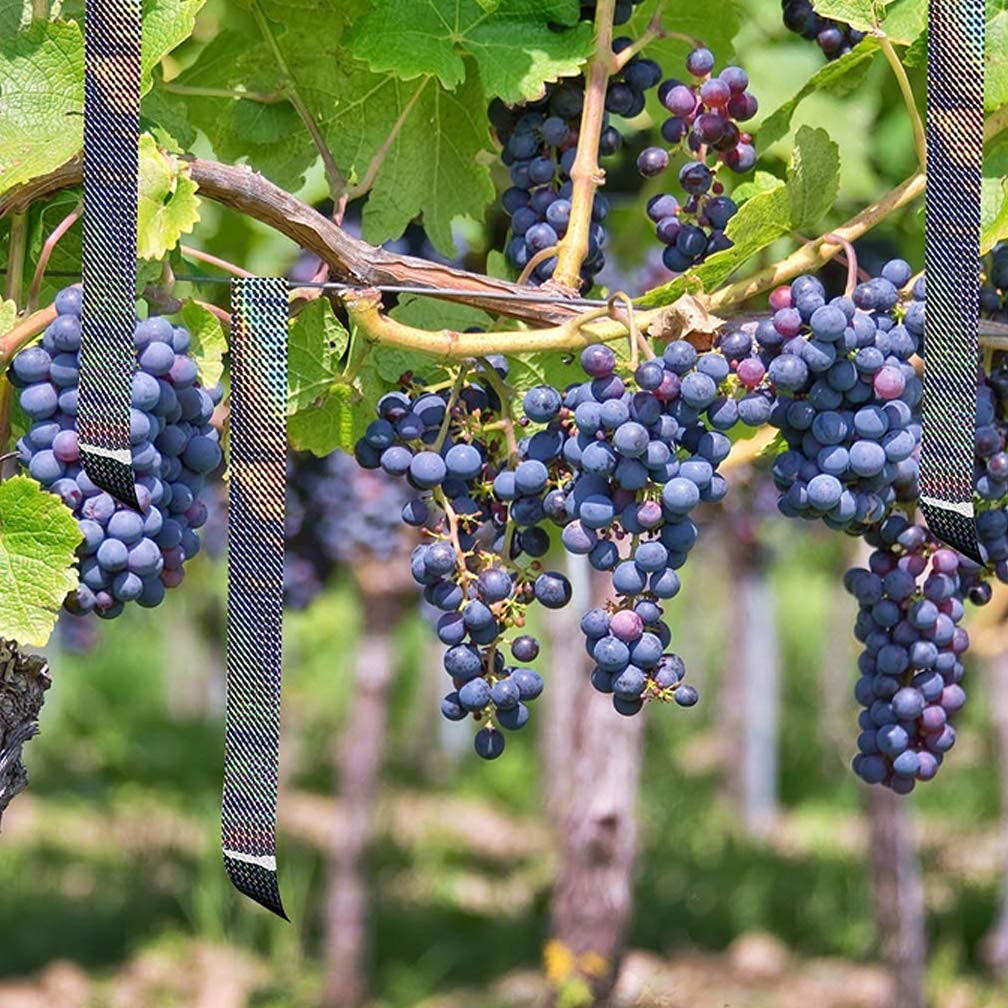 Reflective Tape 2 Inches X 164 Feet Roll, Self-Adhesive Holographic PET Tape for Bird Deterrent, Packing, Crafts, DIY Art & Decoration &ndash; SZTTY