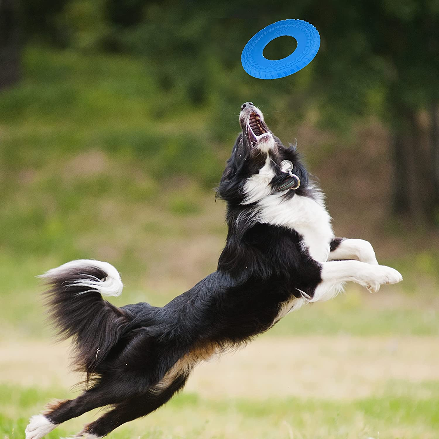 Nerf Dog 10In Tire Flyer: Blue, Dog Toy image number 3