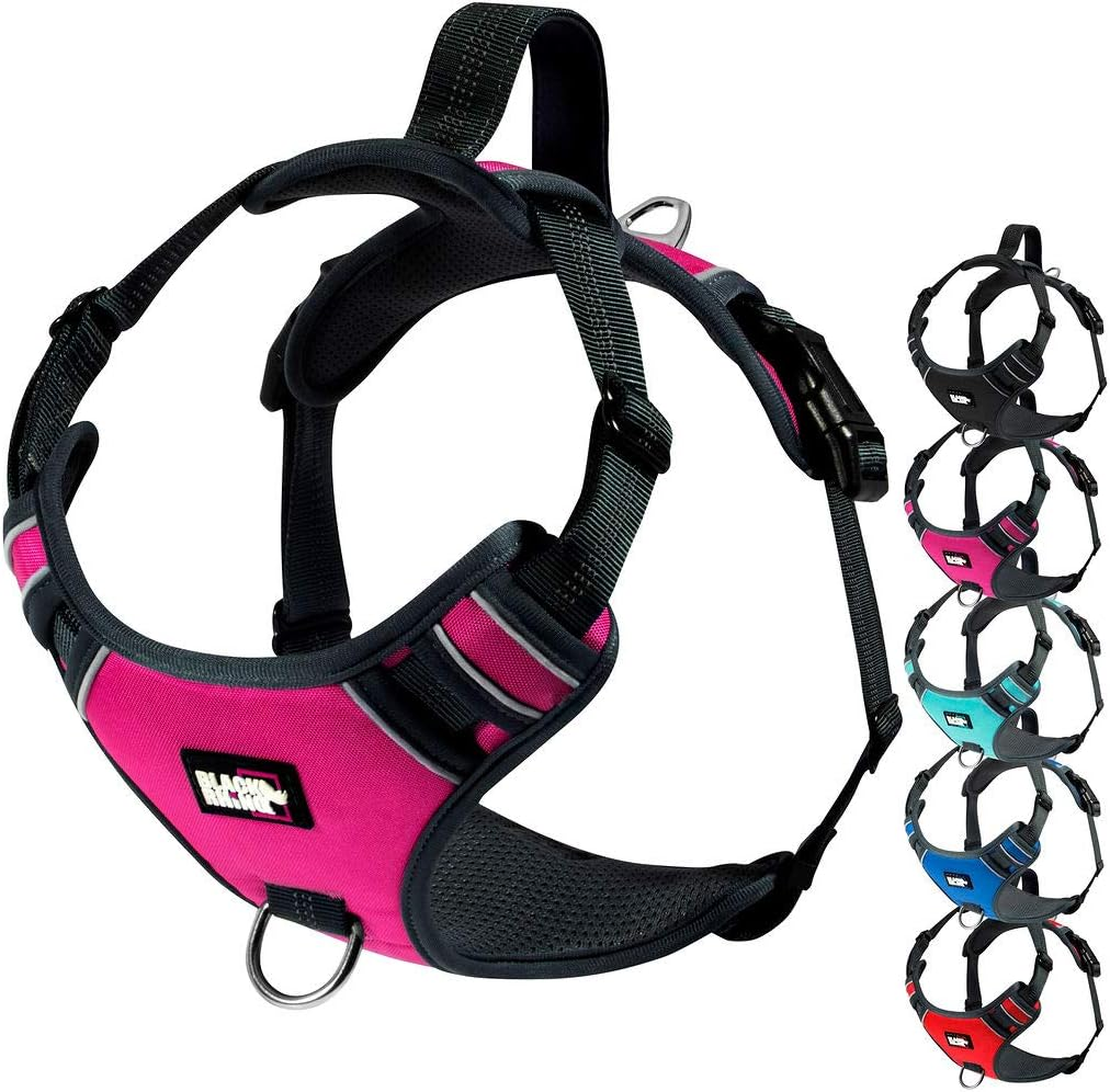 Black Rhino - the Comfort Dog Harness with Mesh Padded Vest for Small - Large Breeds | Adjustable | Reflective | 2 Leash Attachments on Chest & Back - Neoprene Padded Training Handle (Medium, Pink/Bl)