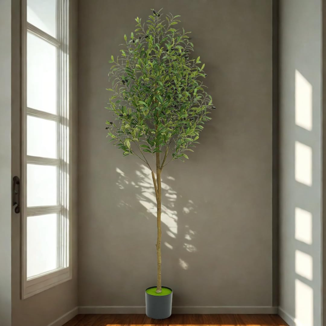 6FT Artificial Olive Tree &ndash; Realistic Faux Olive Tree with Fruits and Adjustable Branches &ndash; Lifelike Indoor Plant for Living Room, Office, Bedroom & Corner Decor &ndash; Potted Decorative Tree (180Cm Tall) image number 4