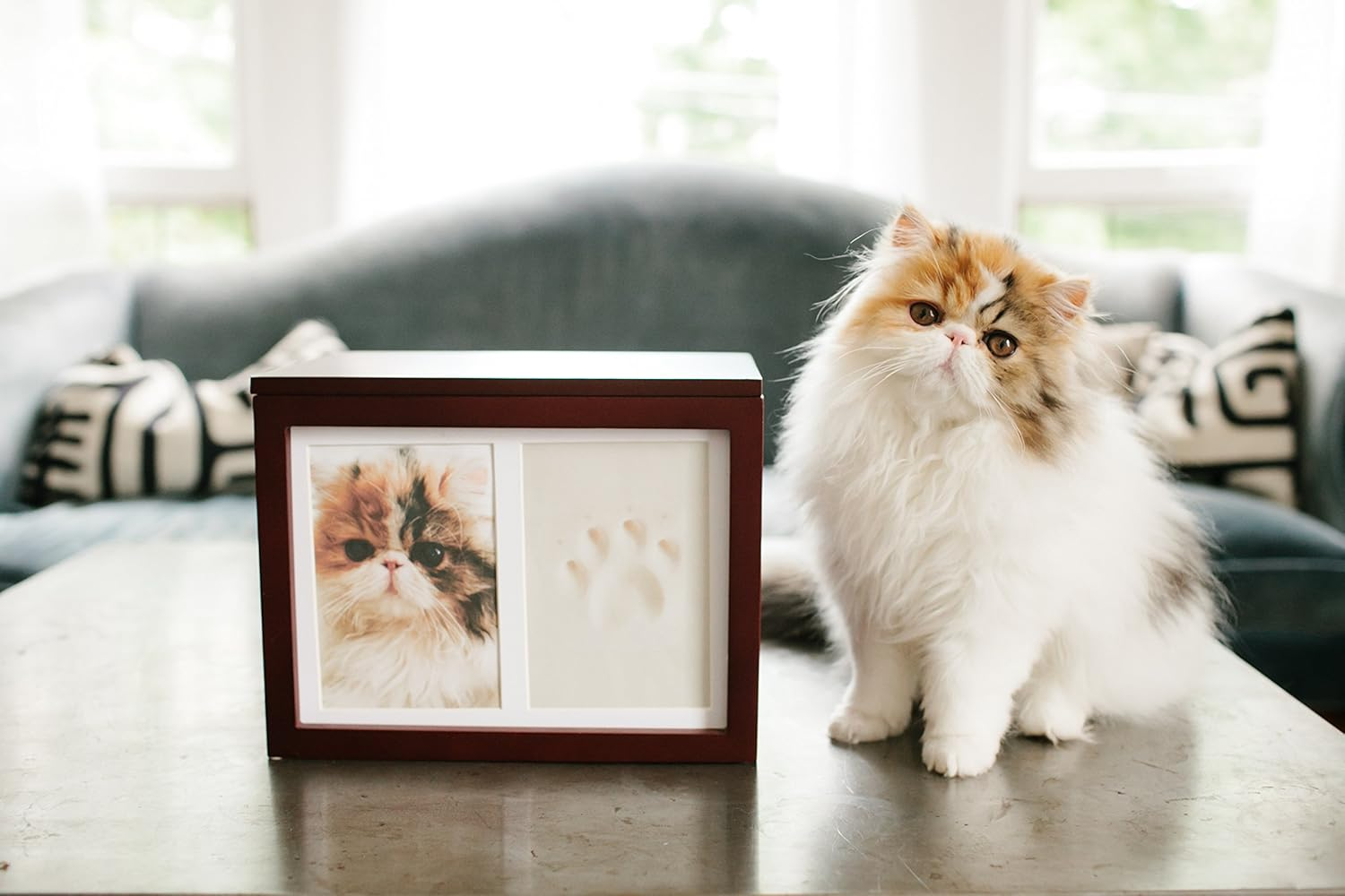 Pearhead Dog or Cat Paw Prints Pet Memory Box with Clay Imprint Kit, Perfect Pet Memorial Espresso
