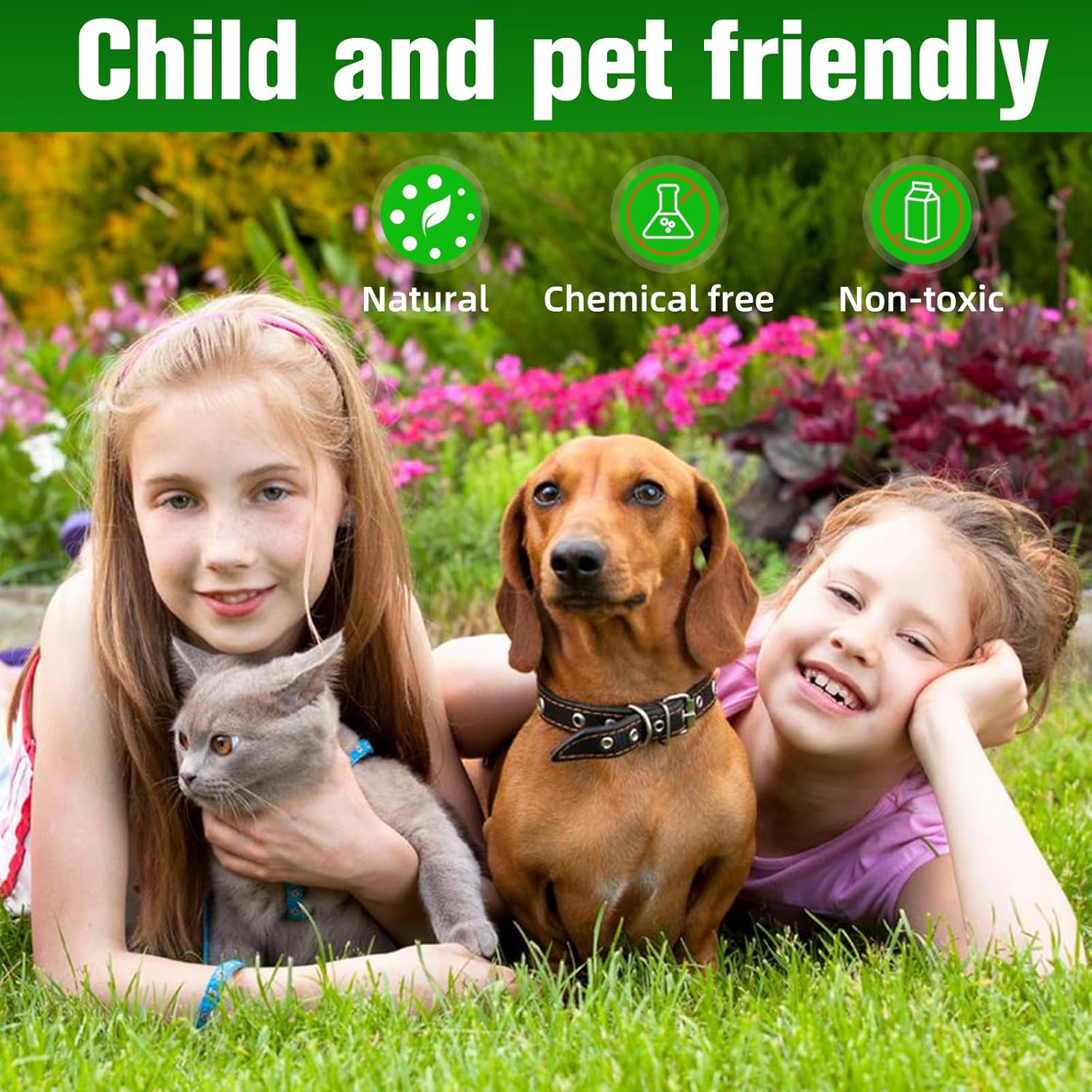 Natural Peppermint Cat & Dog Repellent Ball, 9 Pack for Indoor & Outdoor Use, Yard, Garden, Furniture Protection, 6-Month Long Lasting