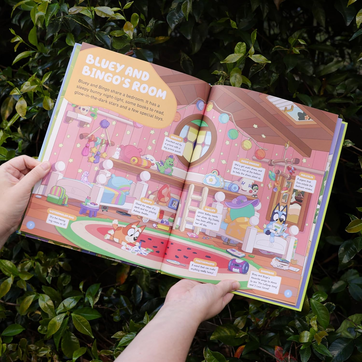 Bluey: Bluey'S Big World: a Book about Everything Bluey - for Real Life. image number 5