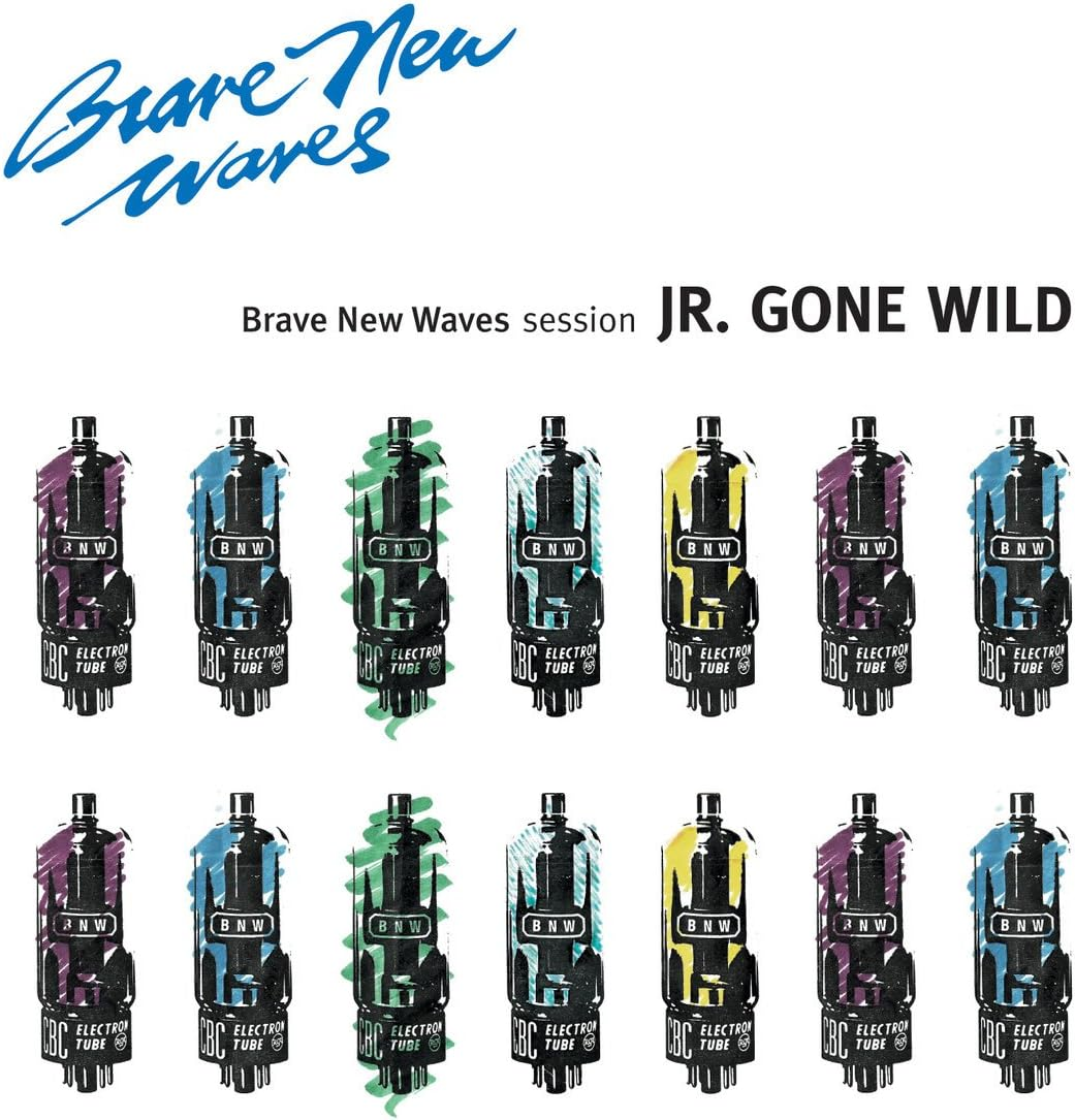 Artoffact Records Jr.Gone Wild Brave New Waves Session (2017) Long Play Vinyl Record