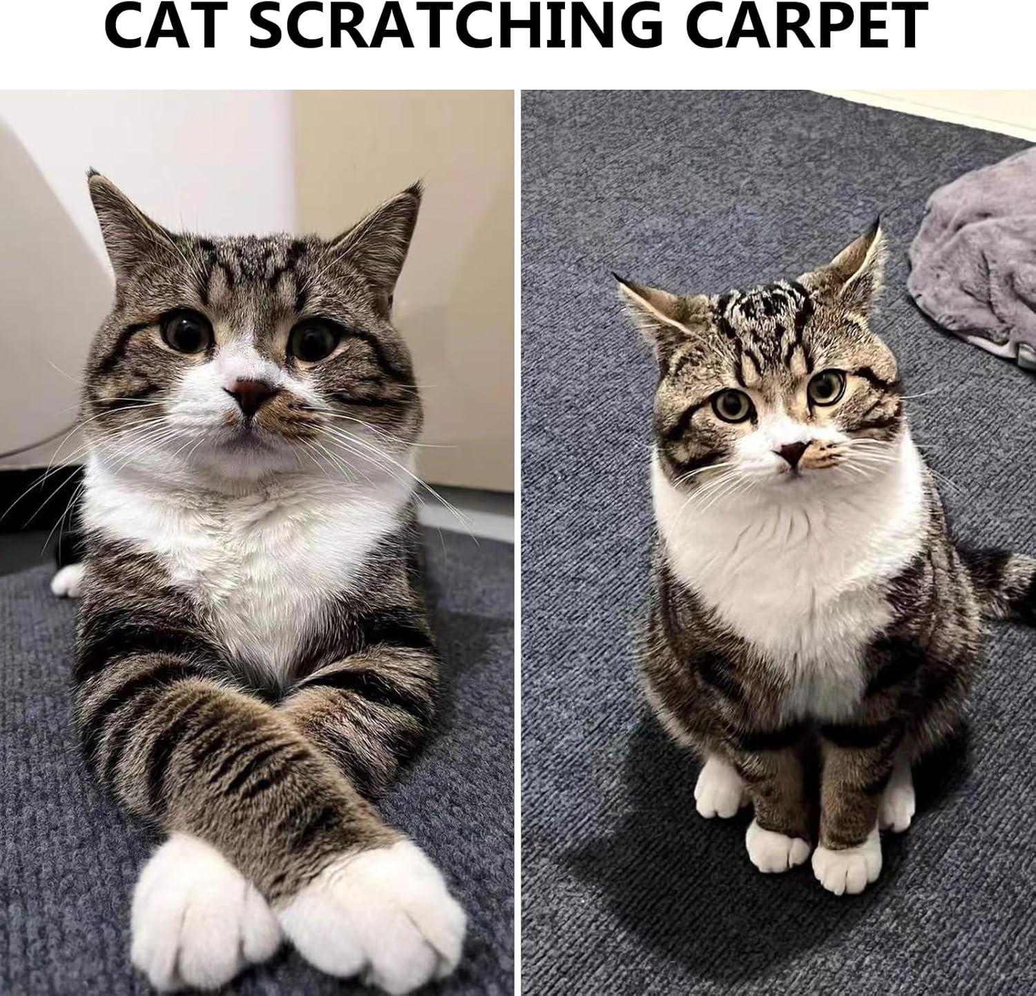 Self-Adhesive Cat Wall Scratching Mat, Cat Scratching Mat, 200 Cm X 40 Cm, Cat Scratching Boards, Protects Wall and Furniture (Pack of 1) image number 3