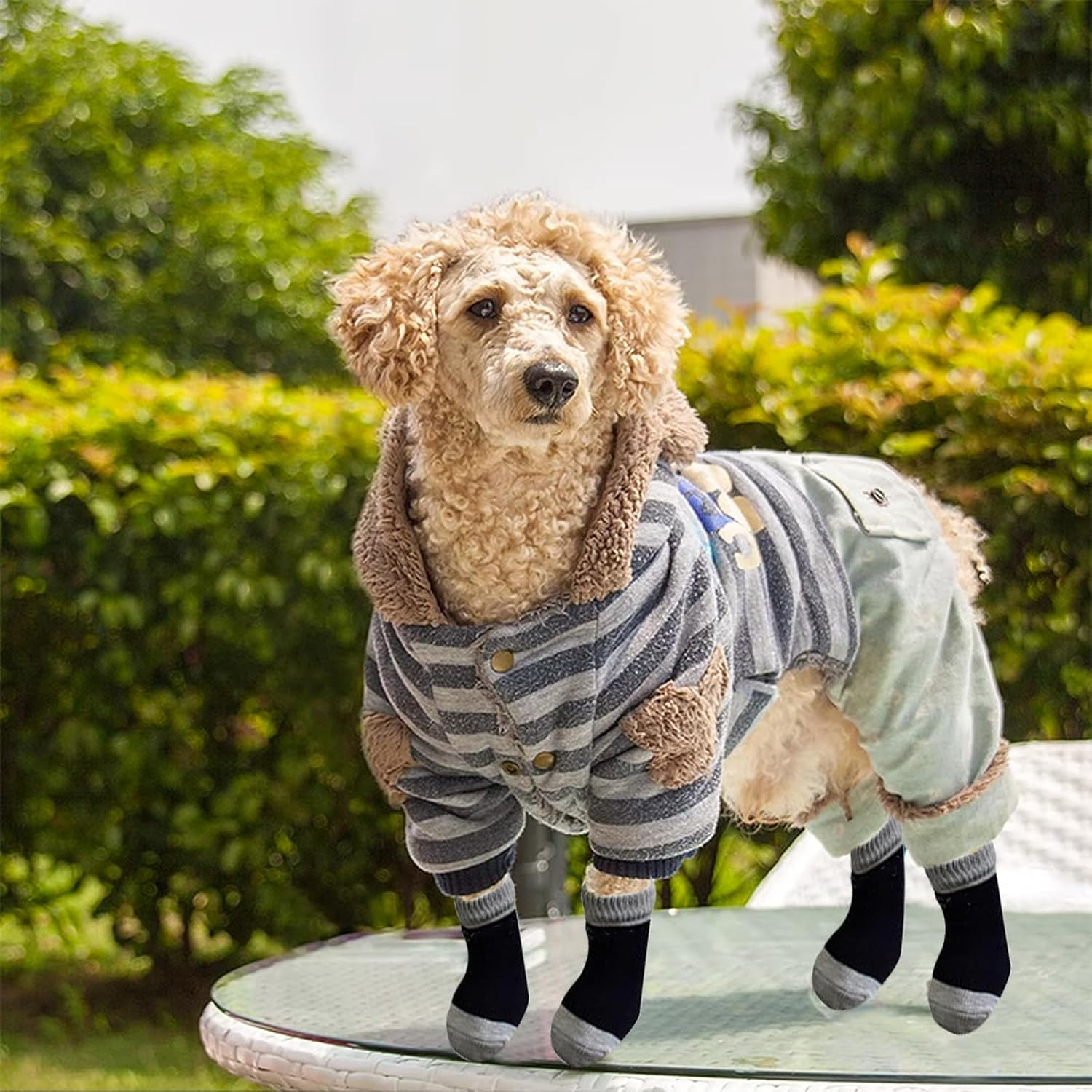 DHWEKU Indoor Non-Slip Socks for Dogs, Dog Socks, Non-Slip Socks, Dog, Soft Pet Protection, Improve Your Dog'S Grip, 2 Pairs, Black (L) image number 1