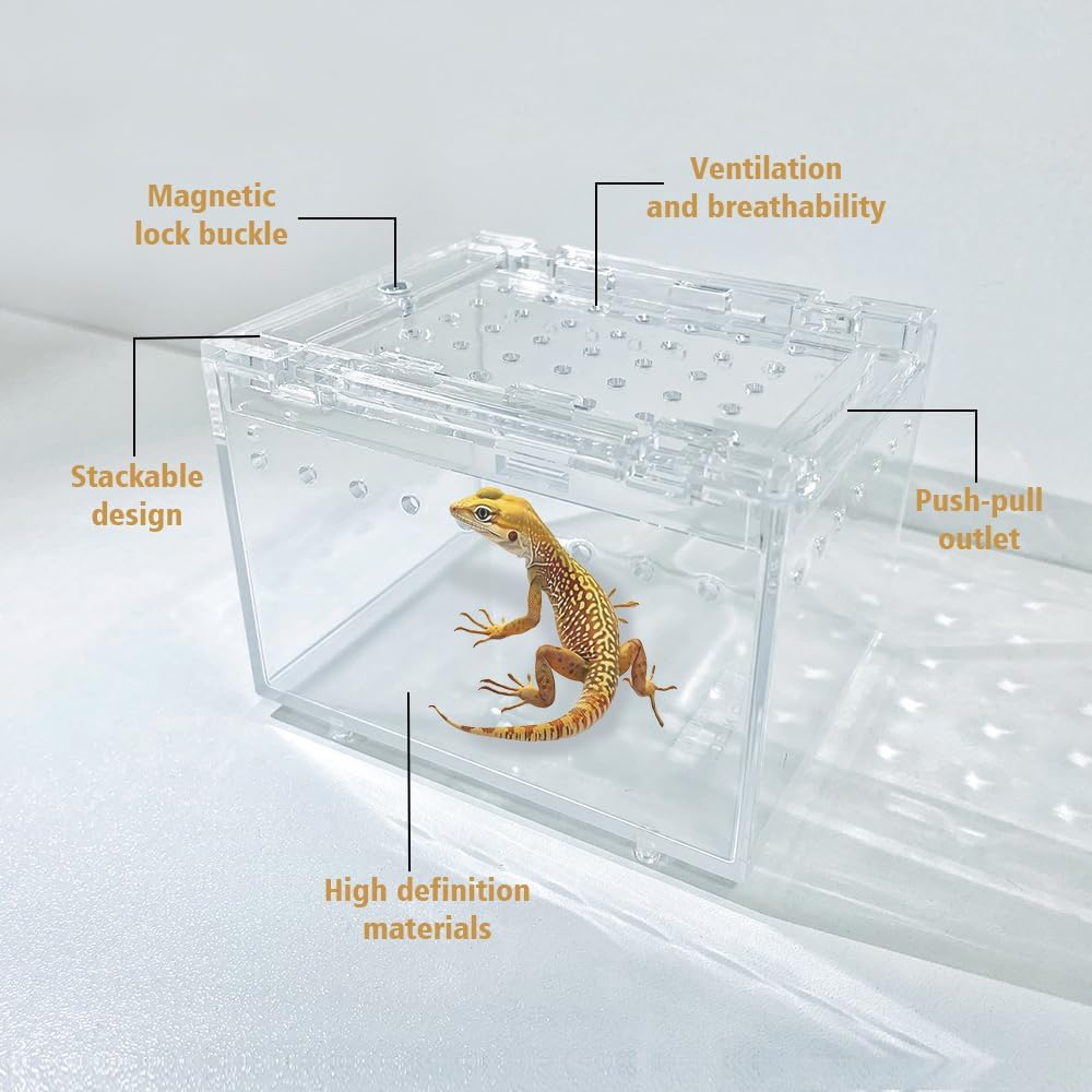 Transparent Reptile Pet Box10 X 8 X 7&middot;5 Cm image number 6