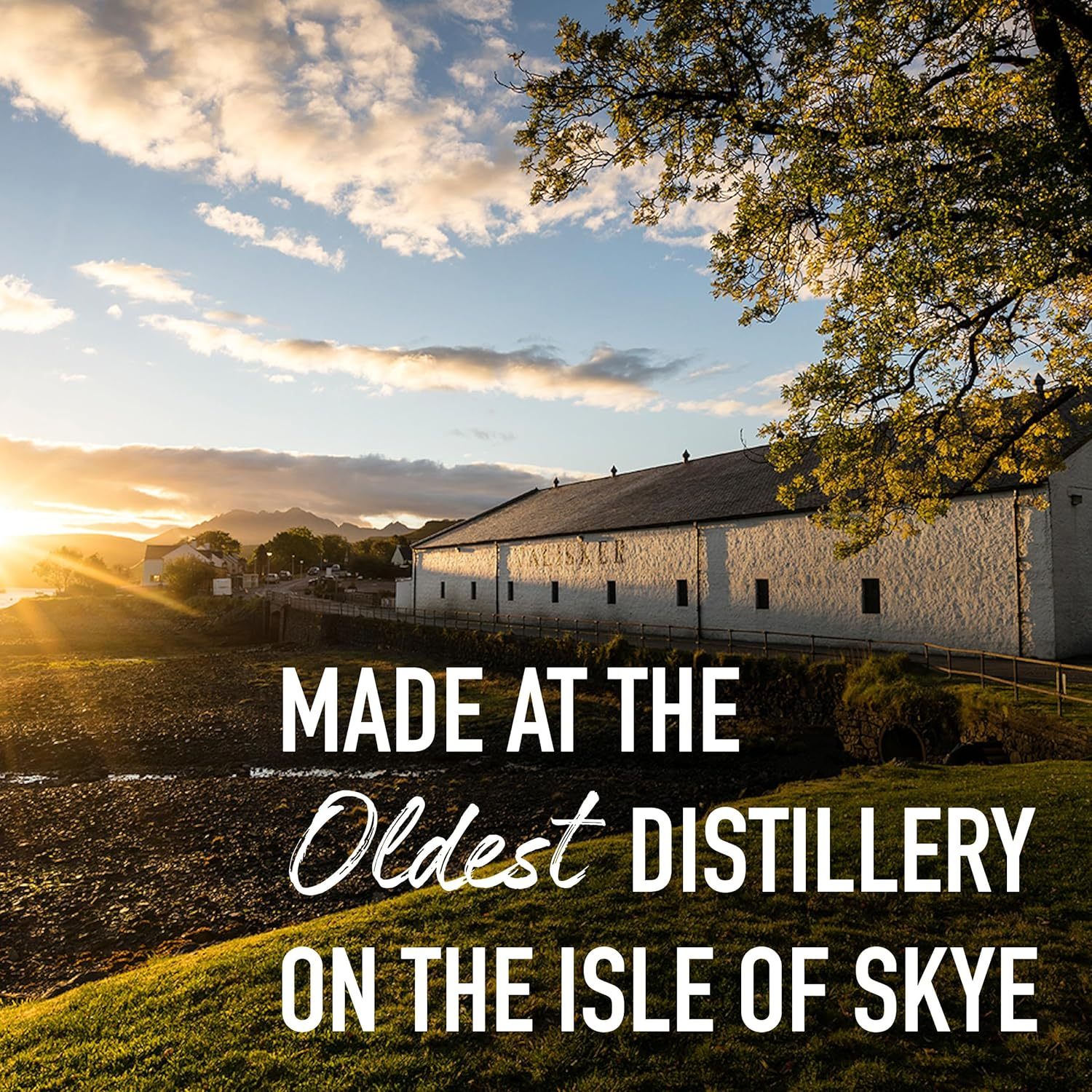 Talisker Port Ruighe Port Scotch Whisky 700 Ml image number 1